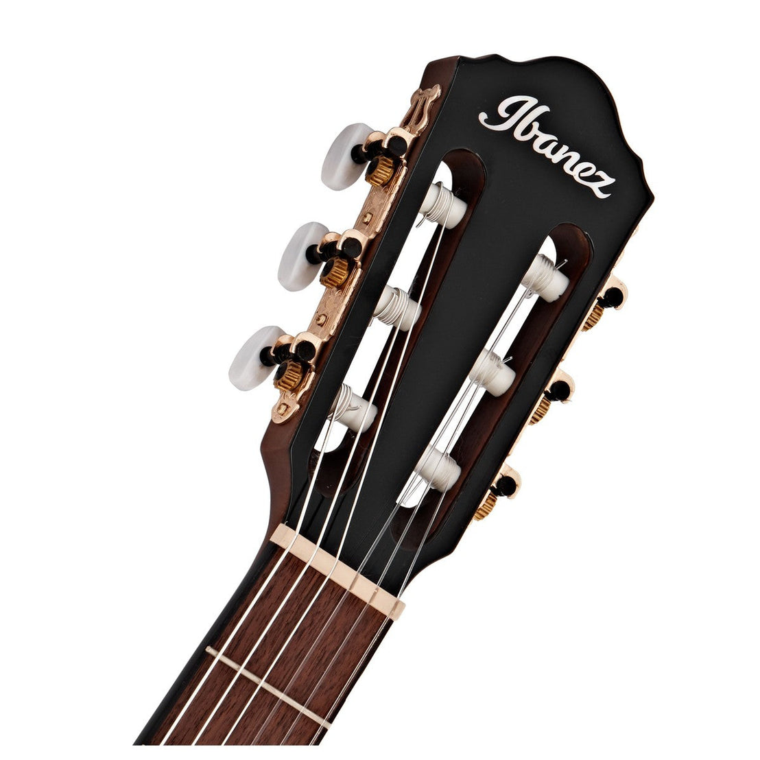 Đàn Guitar Acoustic Ibanez AEG50N Nylon-String-Mai Nguyên Music