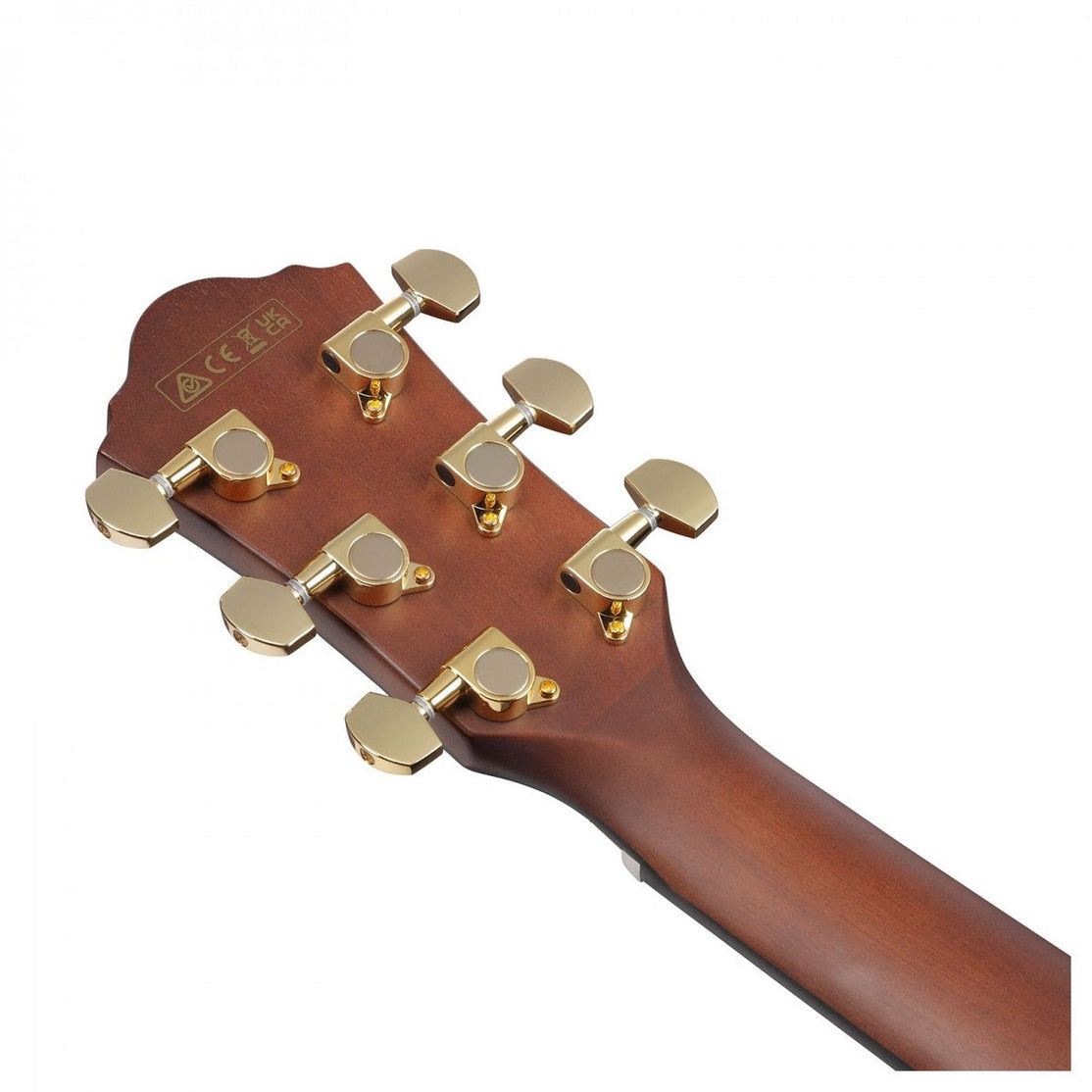 Đàn Guitar Acoustic Ibanez AEG74-Mai Nguyên Music