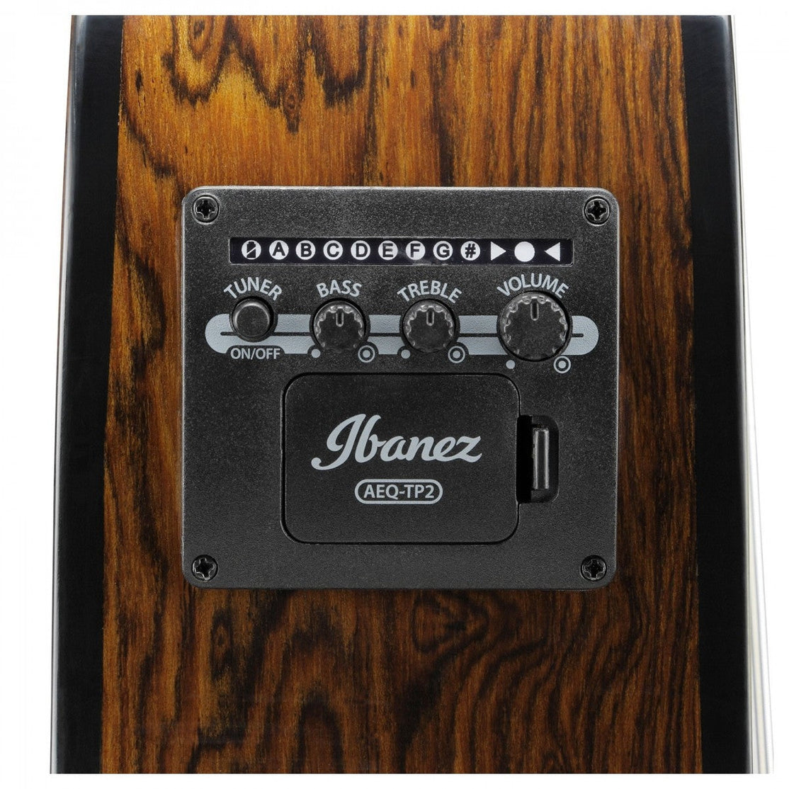 Đàn Guitar Acoustic Ibanez AEG74N Nylon-String-Mai Nguyên Music