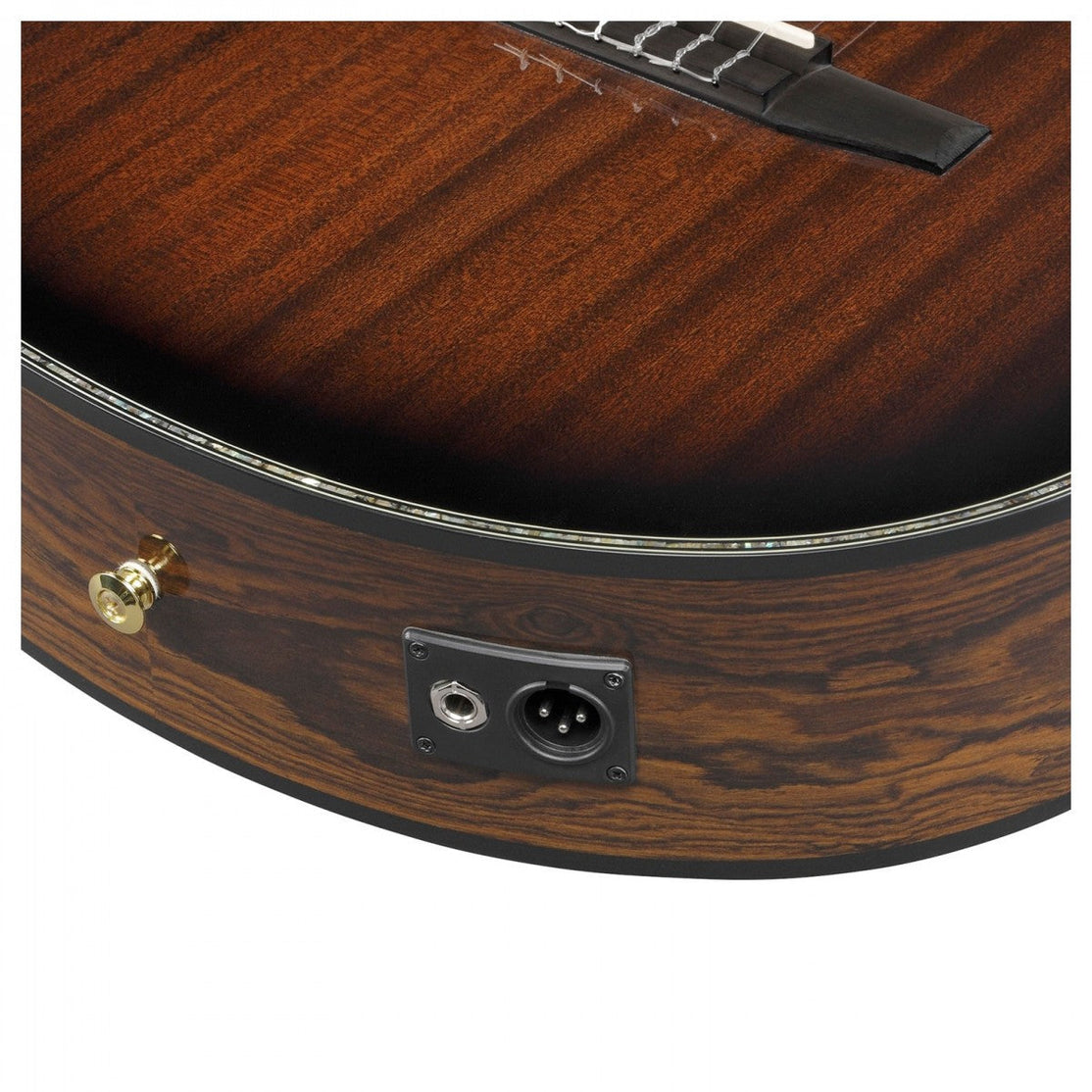 Đàn Guitar Acoustic Ibanez AEG74N Nylon-String-Mai Nguyên Music