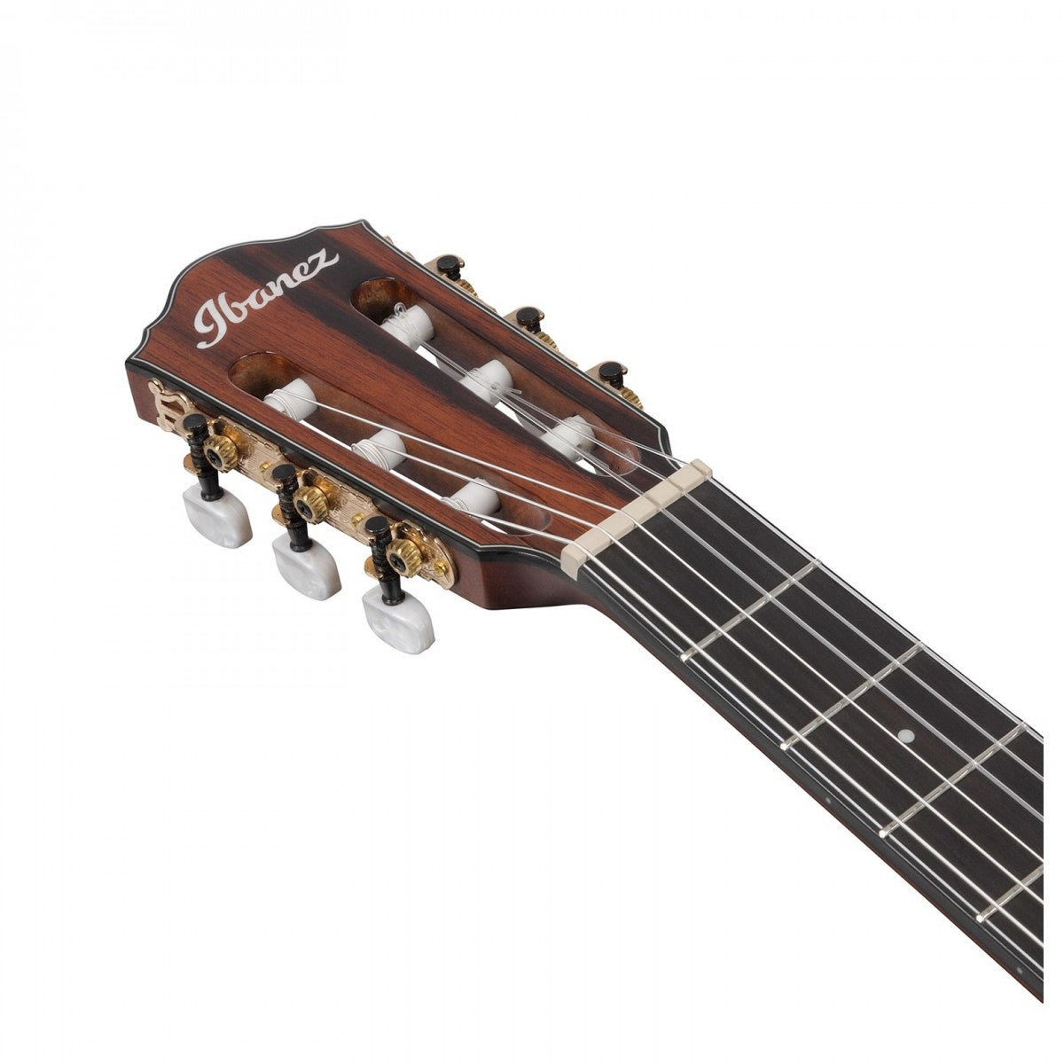 Đàn Guitar Acoustic Ibanez AEG74N Nylon-String-Mai Nguyên Music