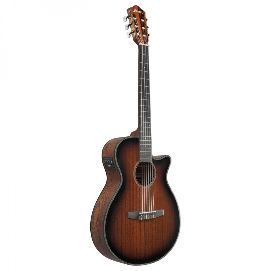 Đàn Guitar Acoustic Ibanez AEG74N Nylon-String-Mai Nguyên Music