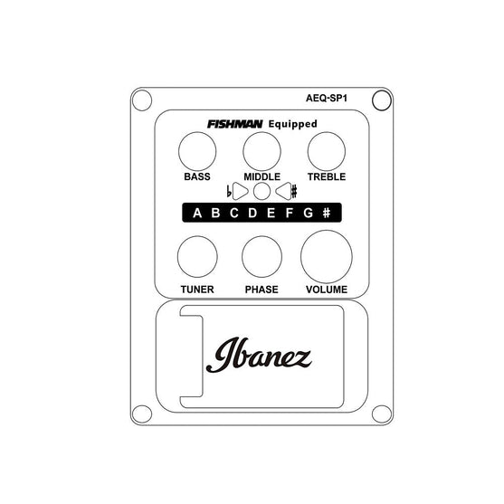 Đàn Guitar Acoustic Ibanez AEWC13-Mai Nguyên Music