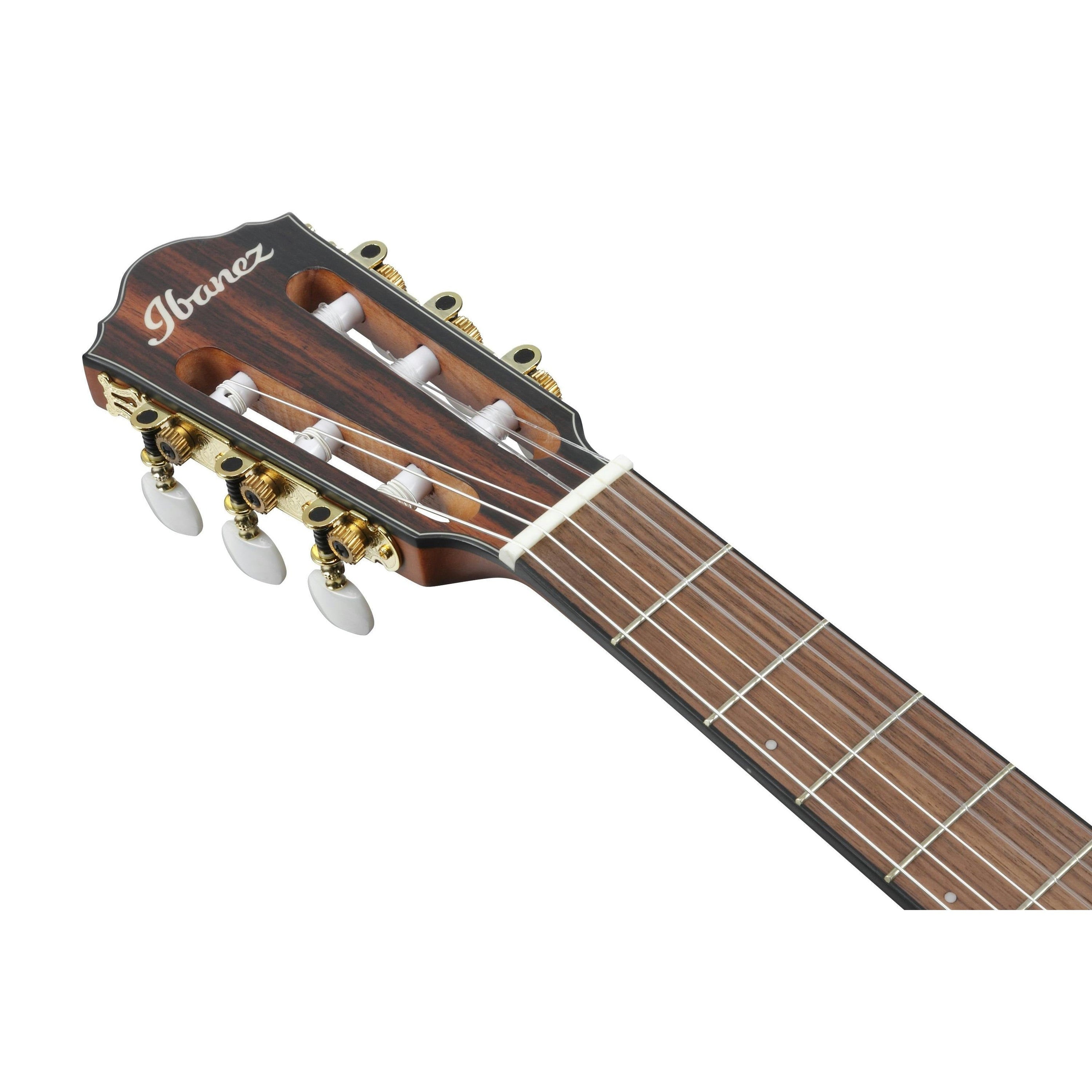 Đàn Guitar Acoustic Ibanez FRH10N Nylon-string-Mai Nguyên Music