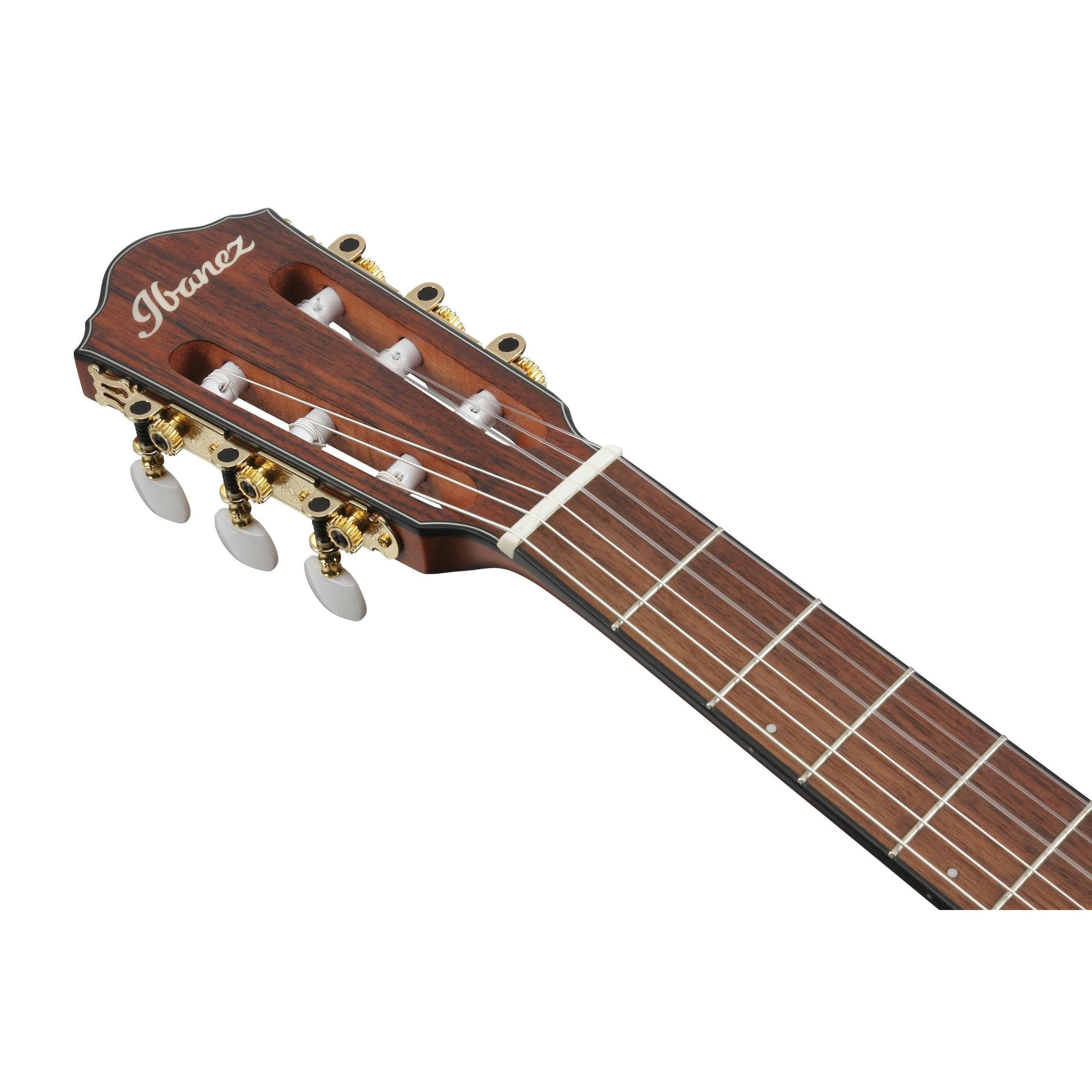 Đàn Guitar Acoustic Ibanez FRH10N Nylon-string-Mai Nguyên Music