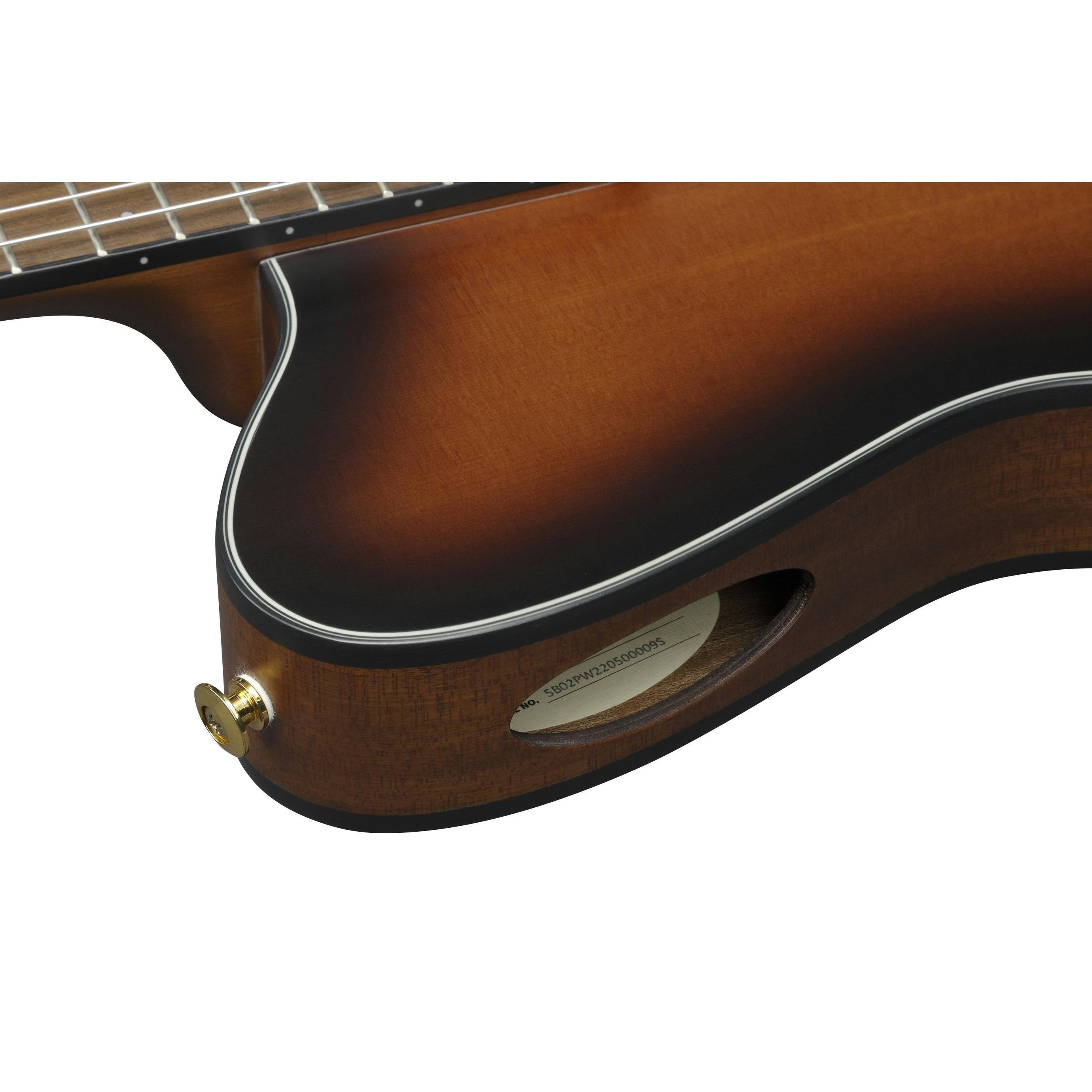 Đàn Guitar Acoustic Ibanez FRH10N Nylon-string-Mai Nguyên Music