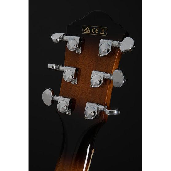 Đàn Guitar Acoustic Ibanez JSA20 Joe Satriani Signature-Mai Nguyên Music