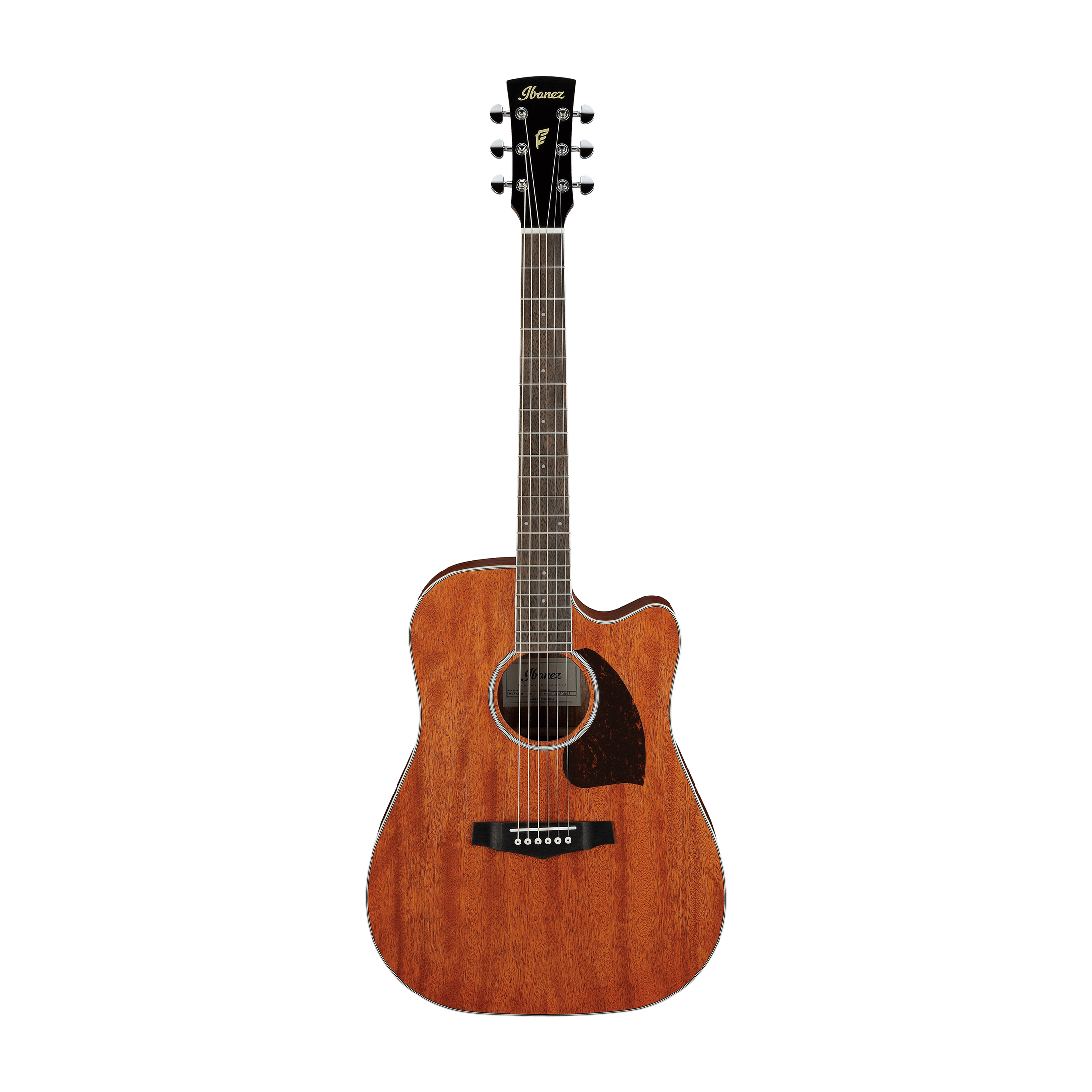 Đàn Guitar Acoustic Ibanez PF16MWCE-Mai Nguyên Music