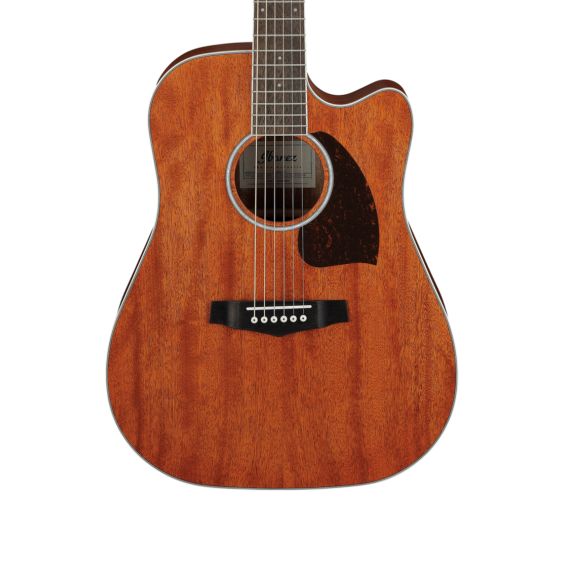 Đàn Guitar Acoustic Ibanez PF16MWCE-Mai Nguyên Music