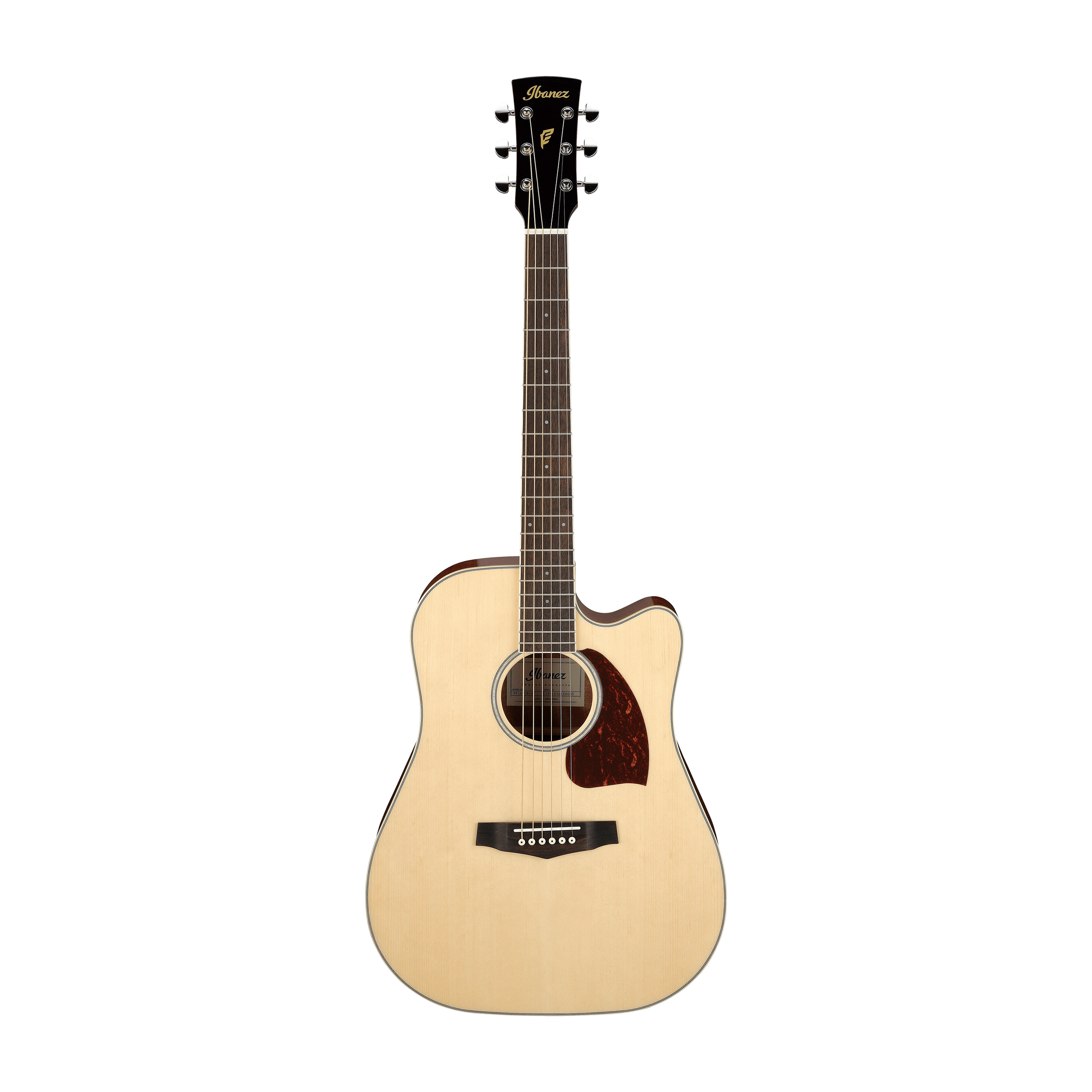 Đàn Guitar Acoustic Ibanez PF16WCE-Mai Nguyên Music
