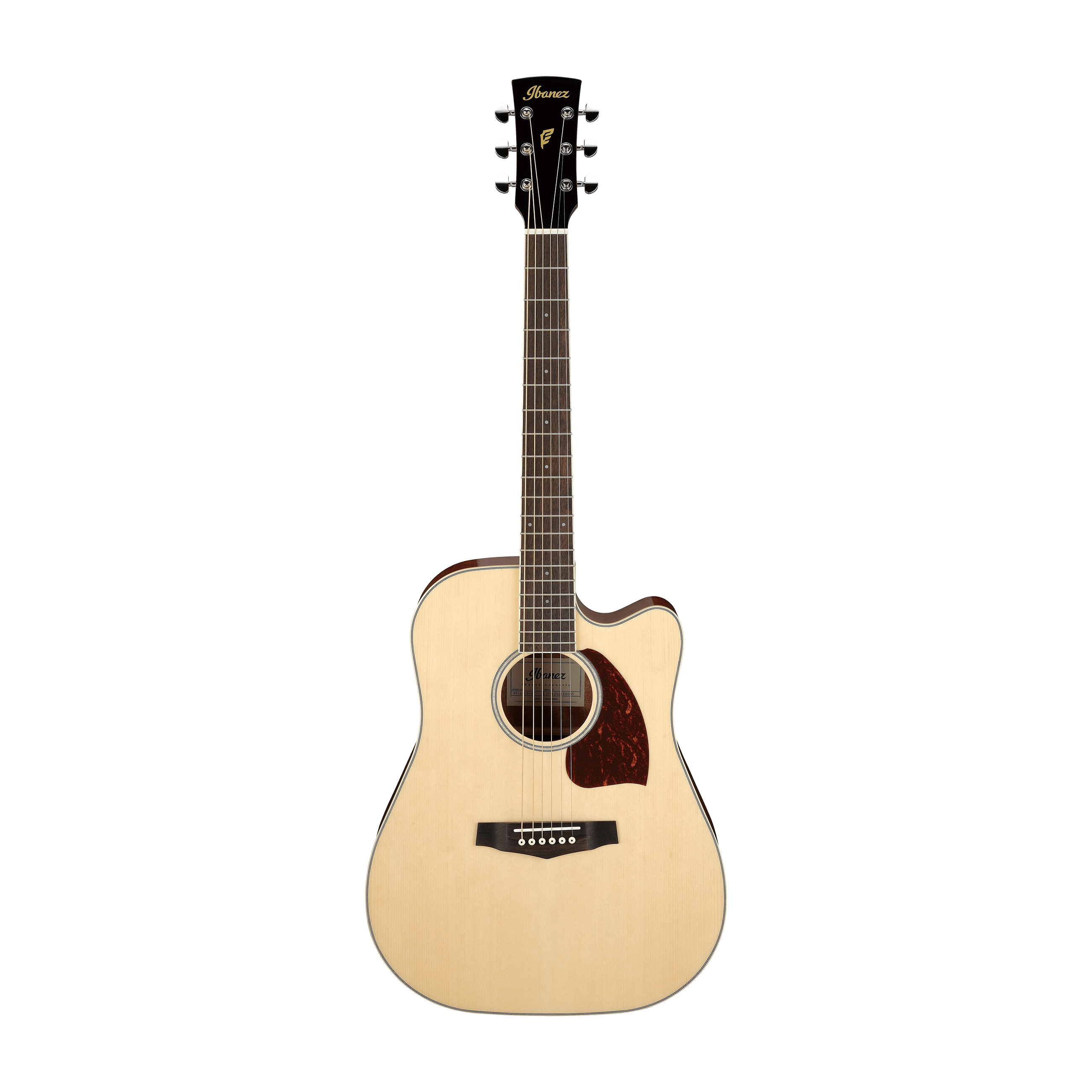 Đàn Guitar Acoustic Ibanez PF16WCE-Mai Nguyên Music