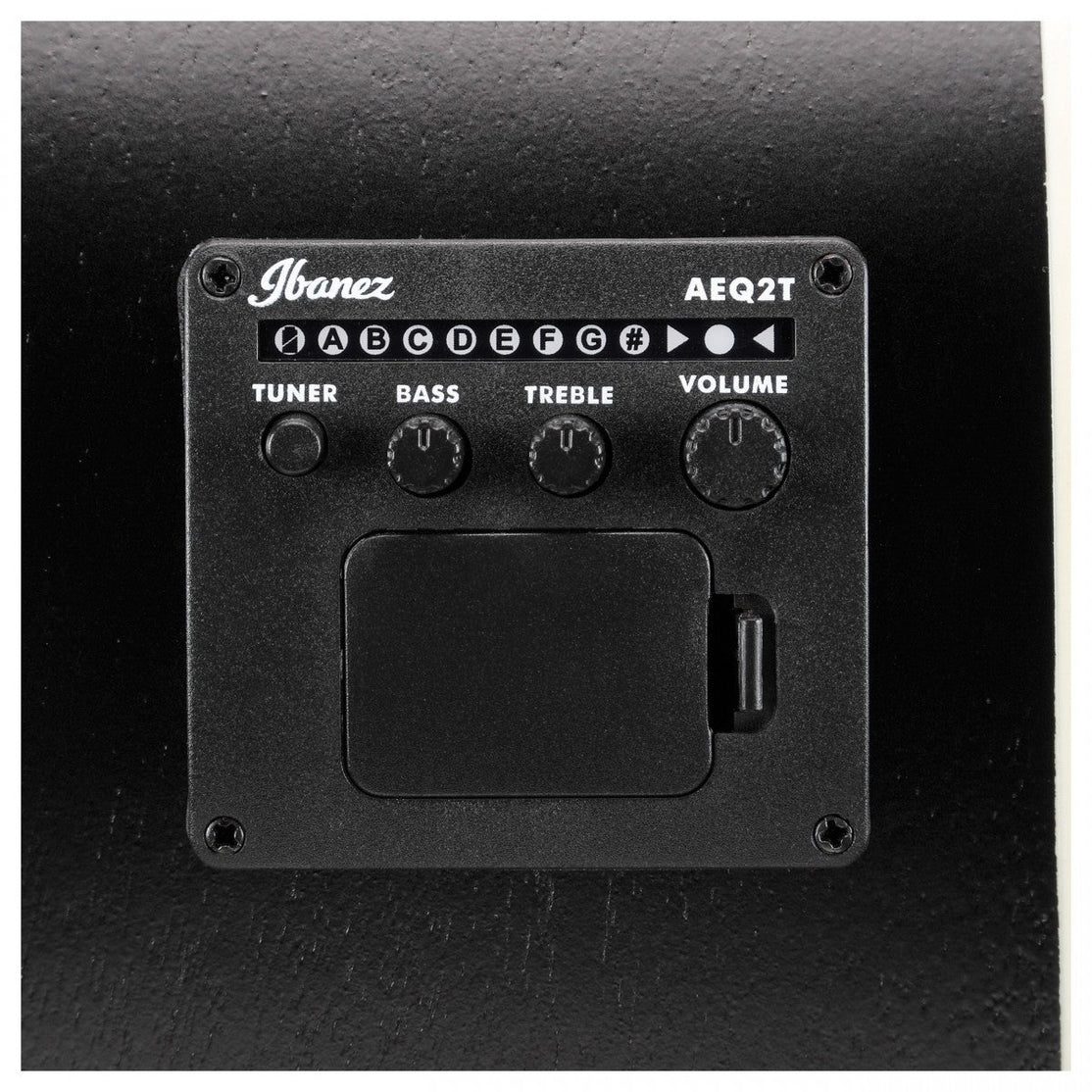 Đàn Guitar Acoustic Ibanez PN14MHE-Mai Nguyên Music