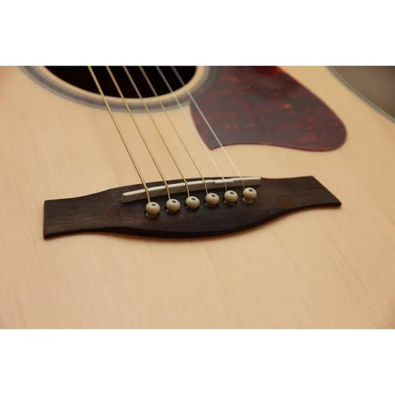 Đàn Guitar Acoustic Ibanez V74E-Mai Nguyên Music