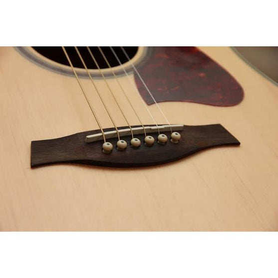 Đàn Guitar Acoustic Ibanez V74E-Mai Nguyên Music