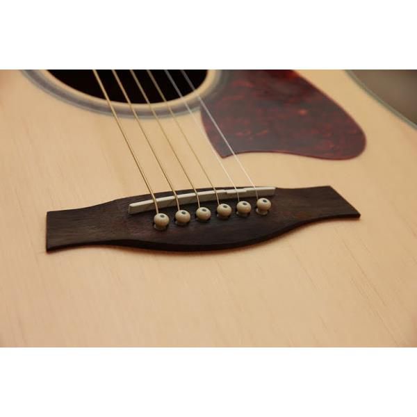 Đàn Guitar Acoustic Ibanez V74E-Mai Nguyên Music