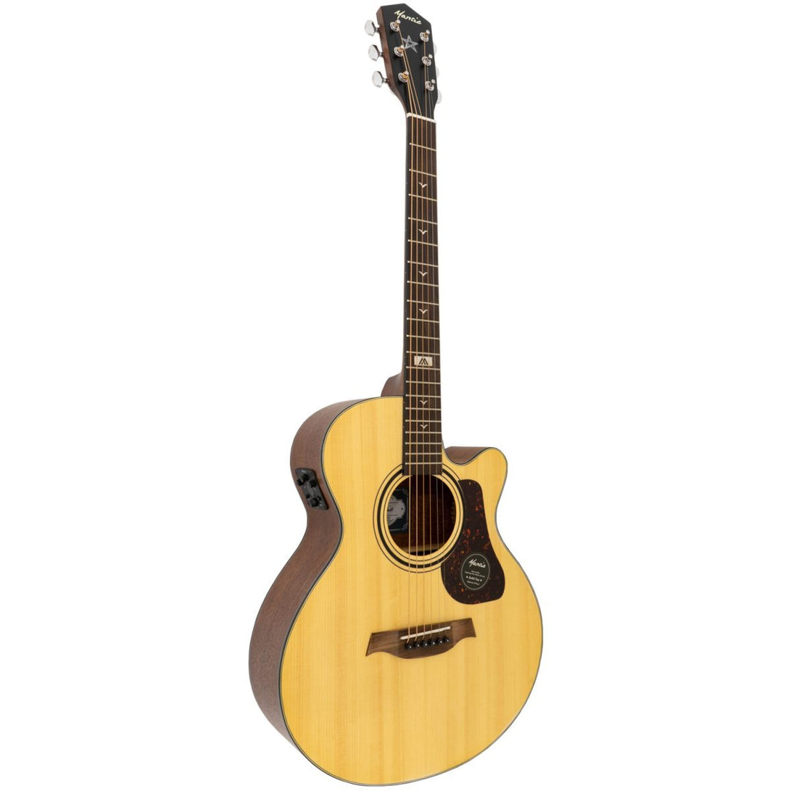 Đàn Guitar Acoustic Mantic GT-10ACE-Mai Nguyên Music
