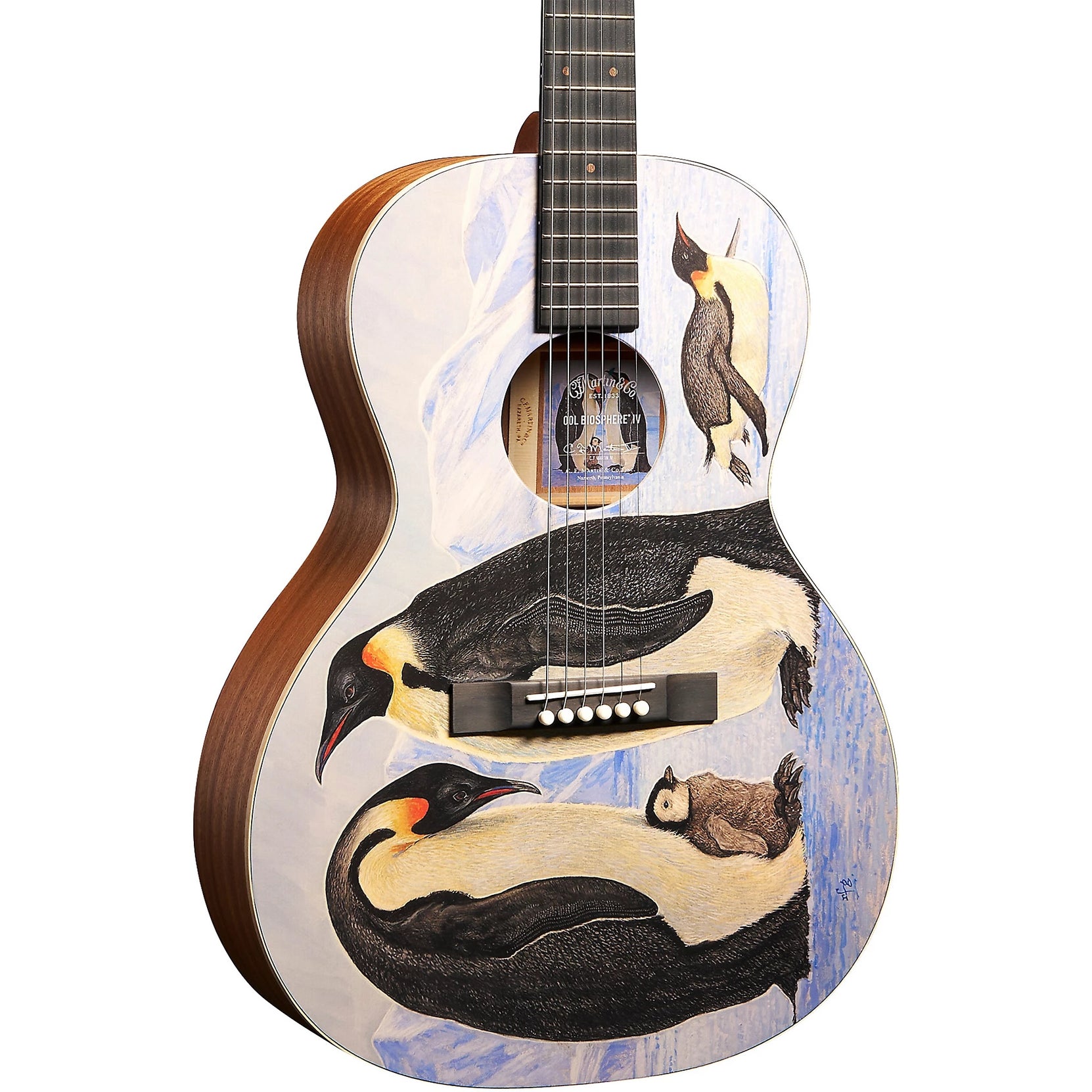 Đàn Guitar Acoustic Martin 00L Biosphere IV Custom & Special Editions-Mai Nguyên Music