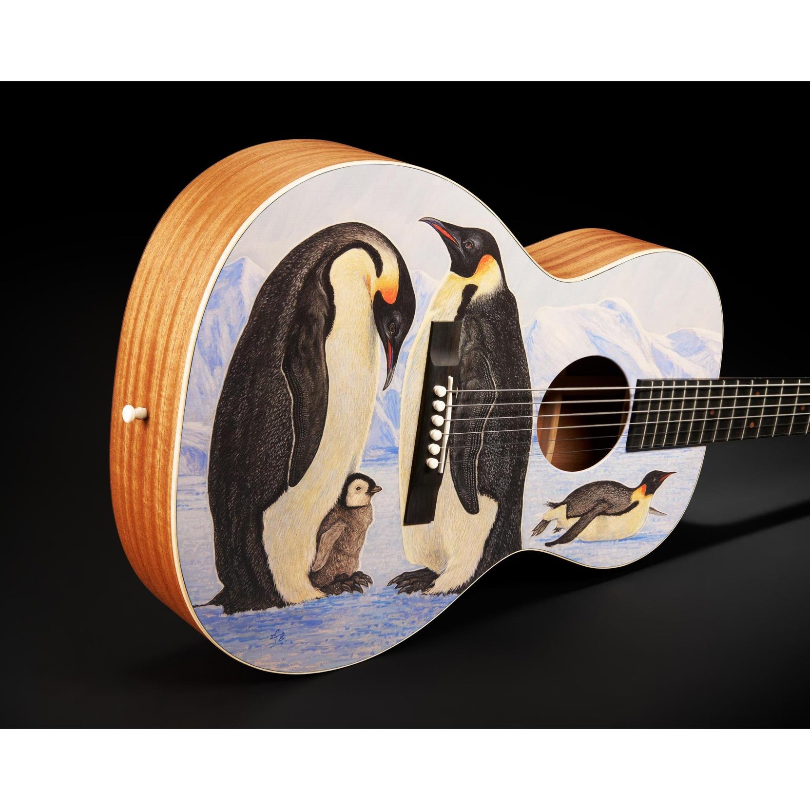 Đàn Guitar Acoustic Martin 00L Biosphere IV Custom & Special Editions-Mai Nguyên Music