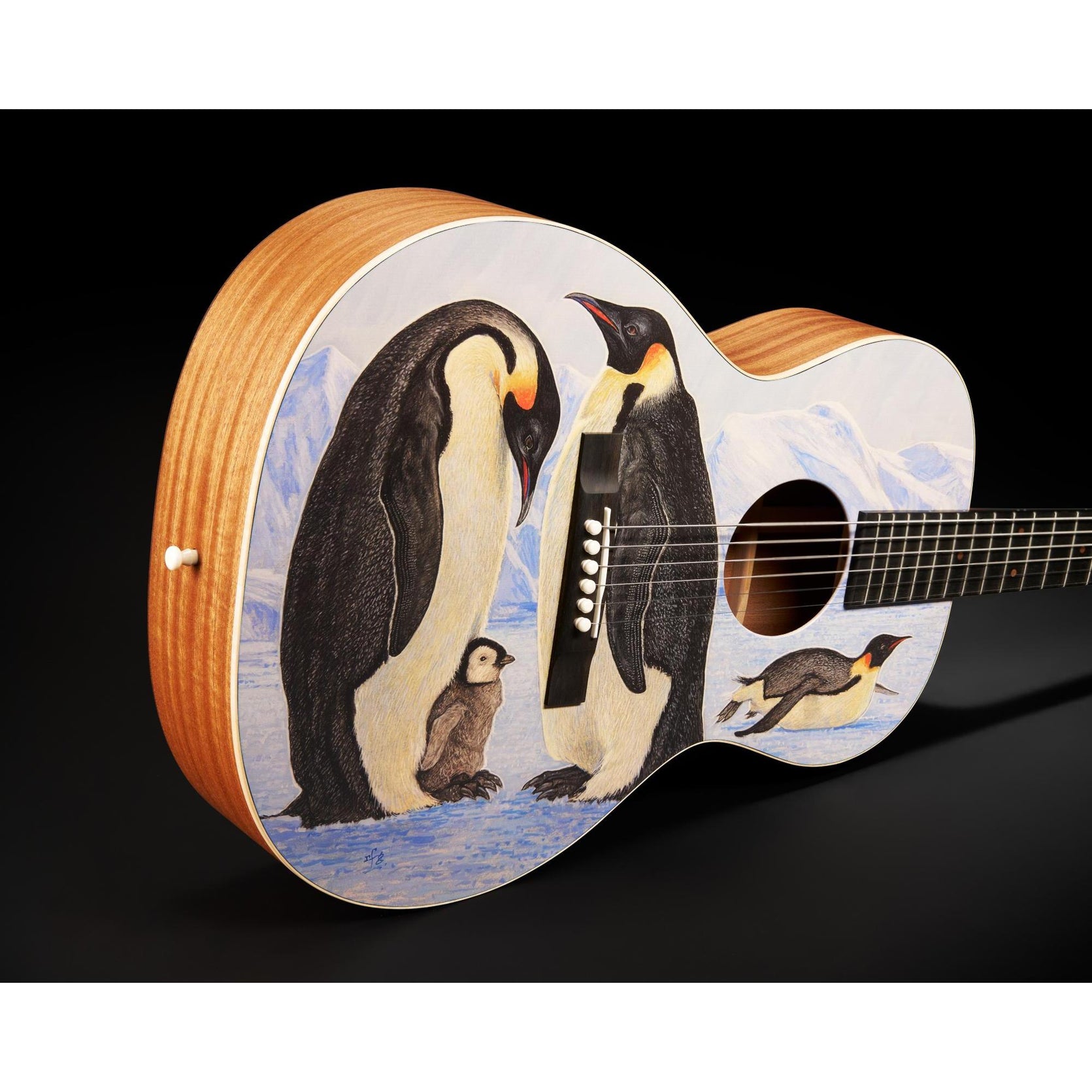 Đàn Guitar Acoustic Martin 00L Biosphere IV Custom & Special Editions-Mai Nguyên Music