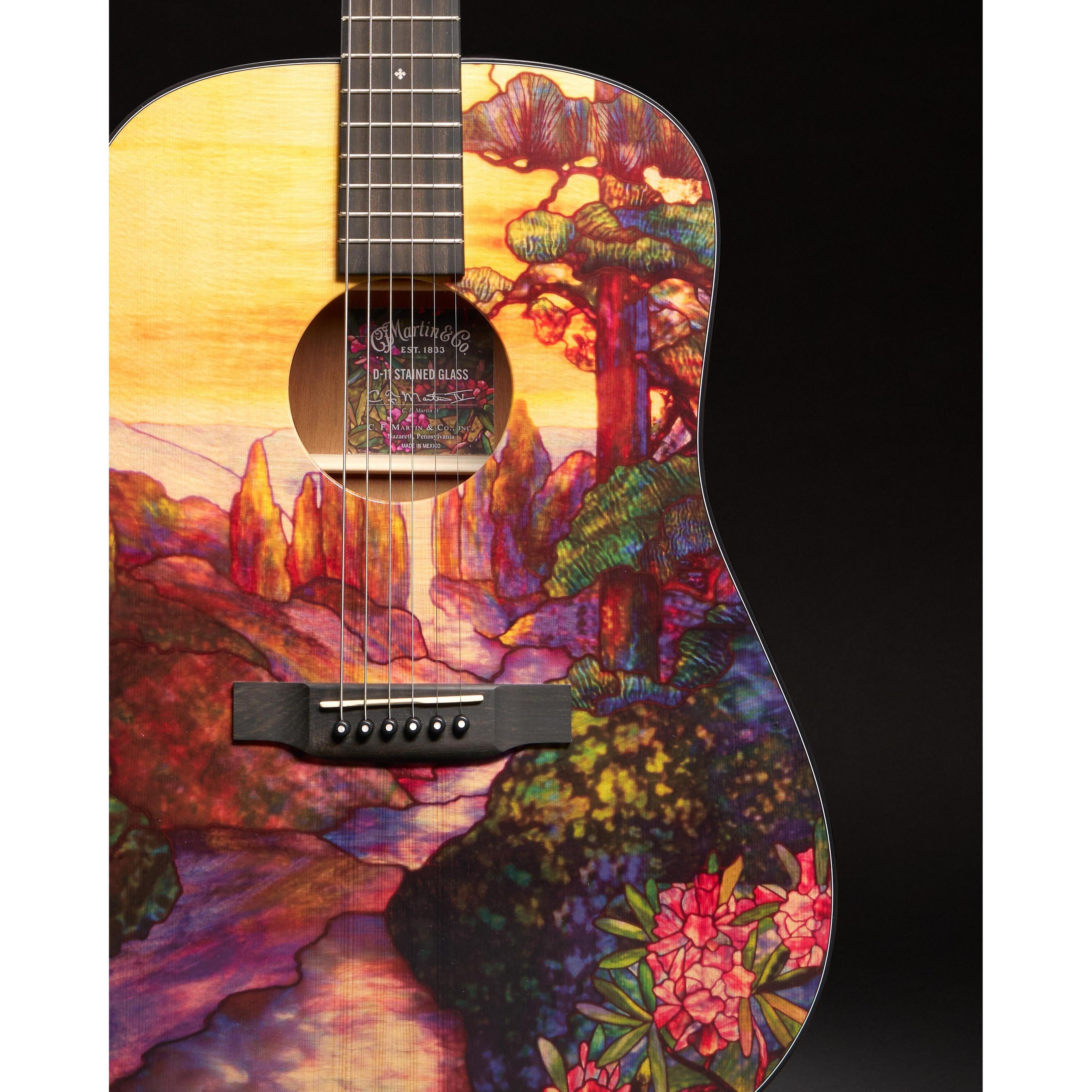 Đàn Guitar Acoustic Martin D-11 Stained Glass Custom & Special Editions-Mai Nguyên Music