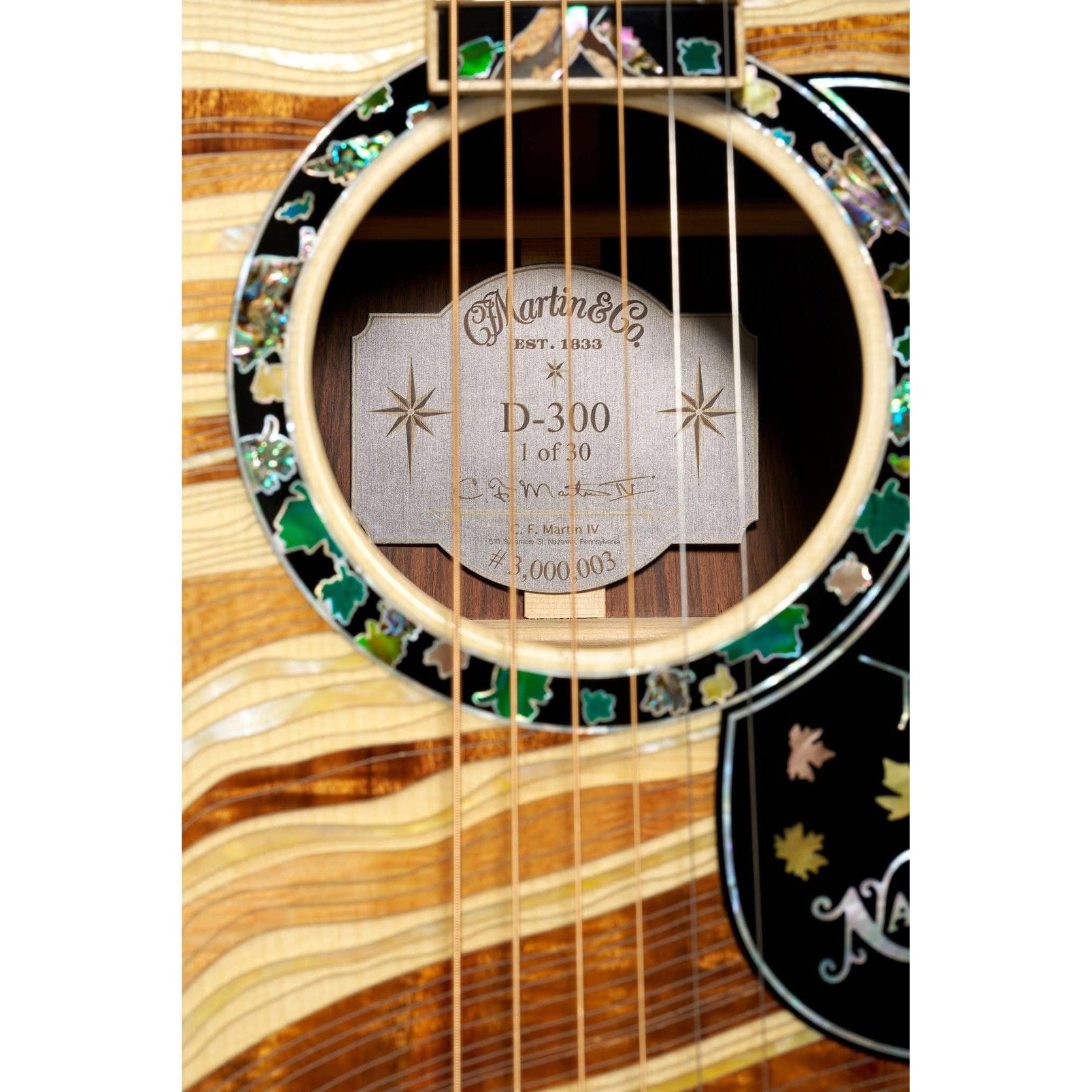 Đàn Guitar Acoustic Martin D-300 Limited Edition-Mai Nguyên Music