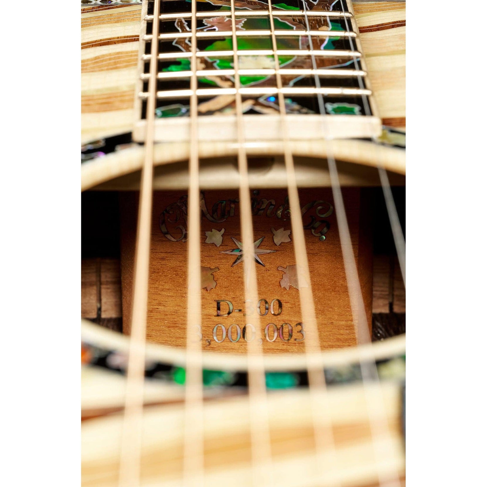 Đàn Guitar Acoustic Martin D-300 Limited Edition-Mai Nguyên Music