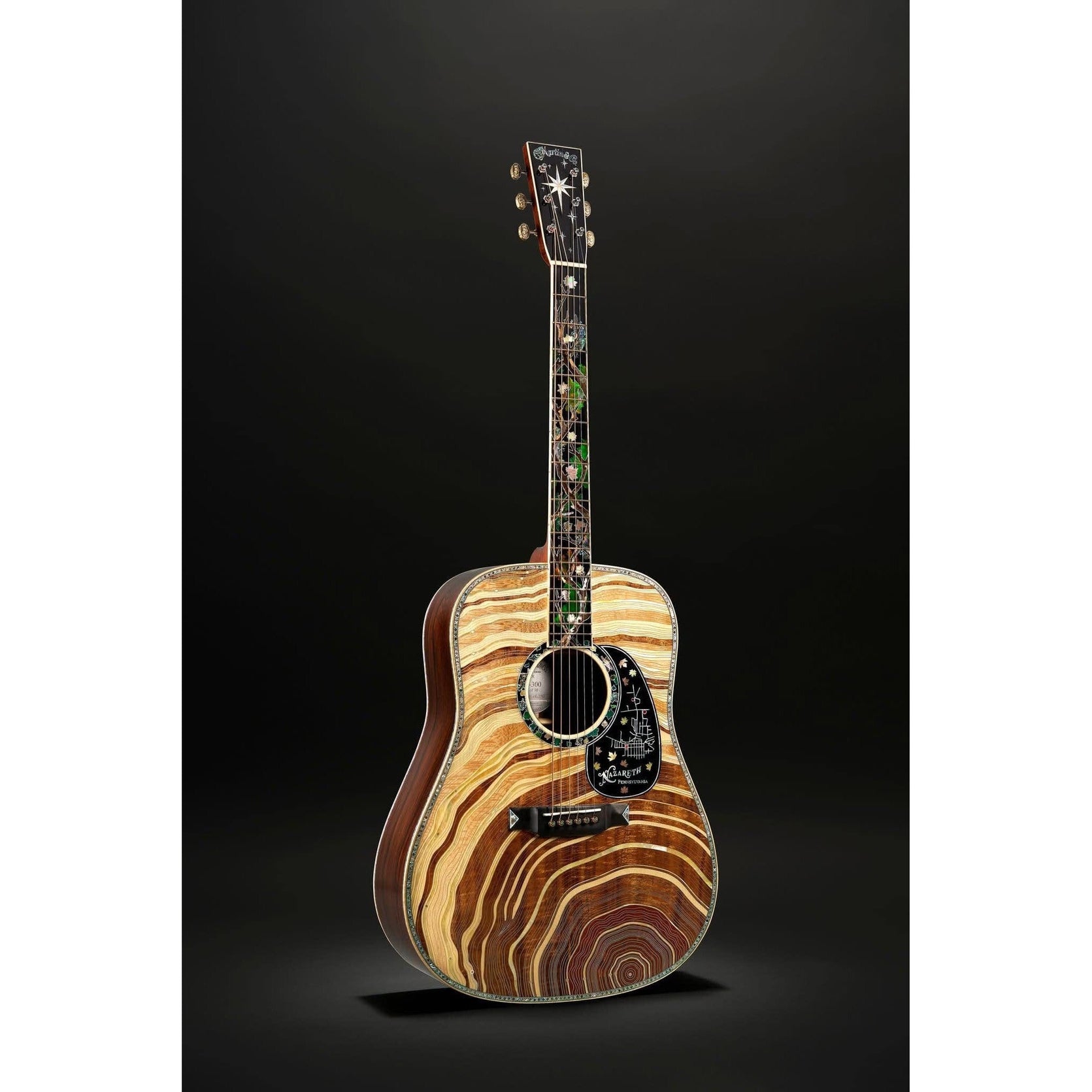 Đàn Guitar Acoustic Martin D-300 Limited Edition-Mai Nguyên Music