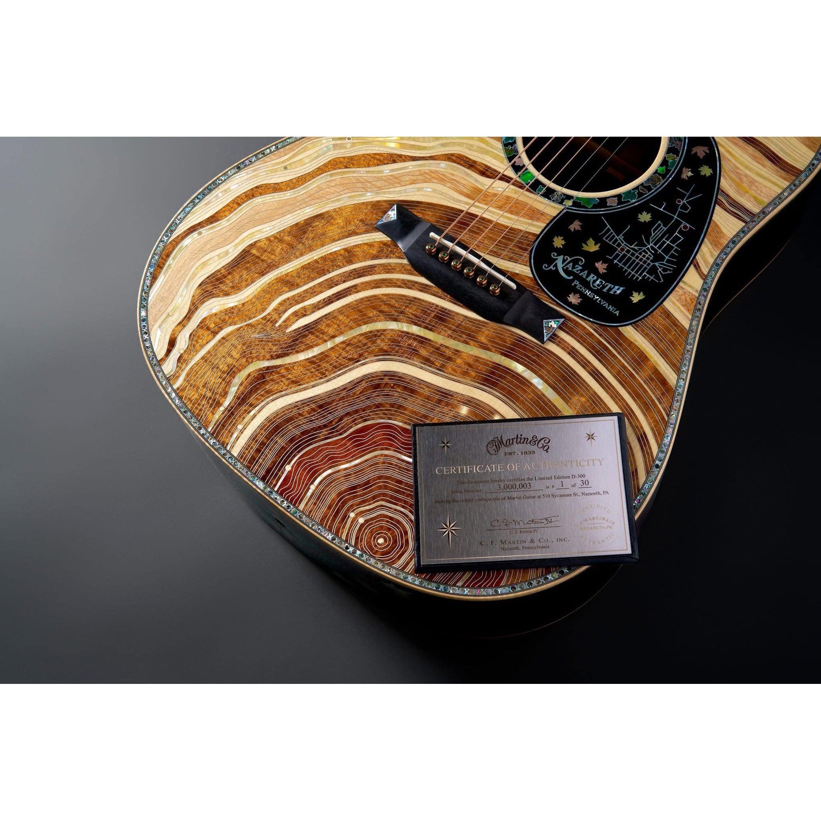 Đàn Guitar Acoustic Martin D-300 Limited Edition-Mai Nguyên Music