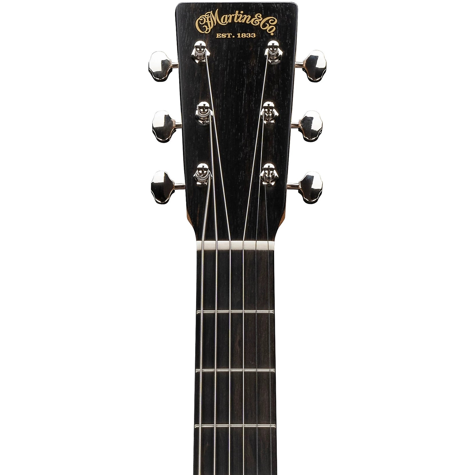 Đàn Guitar Acoustic Martin D Biosphere III Custom & Special Editions - Polar Bear-Mai Nguyên Music