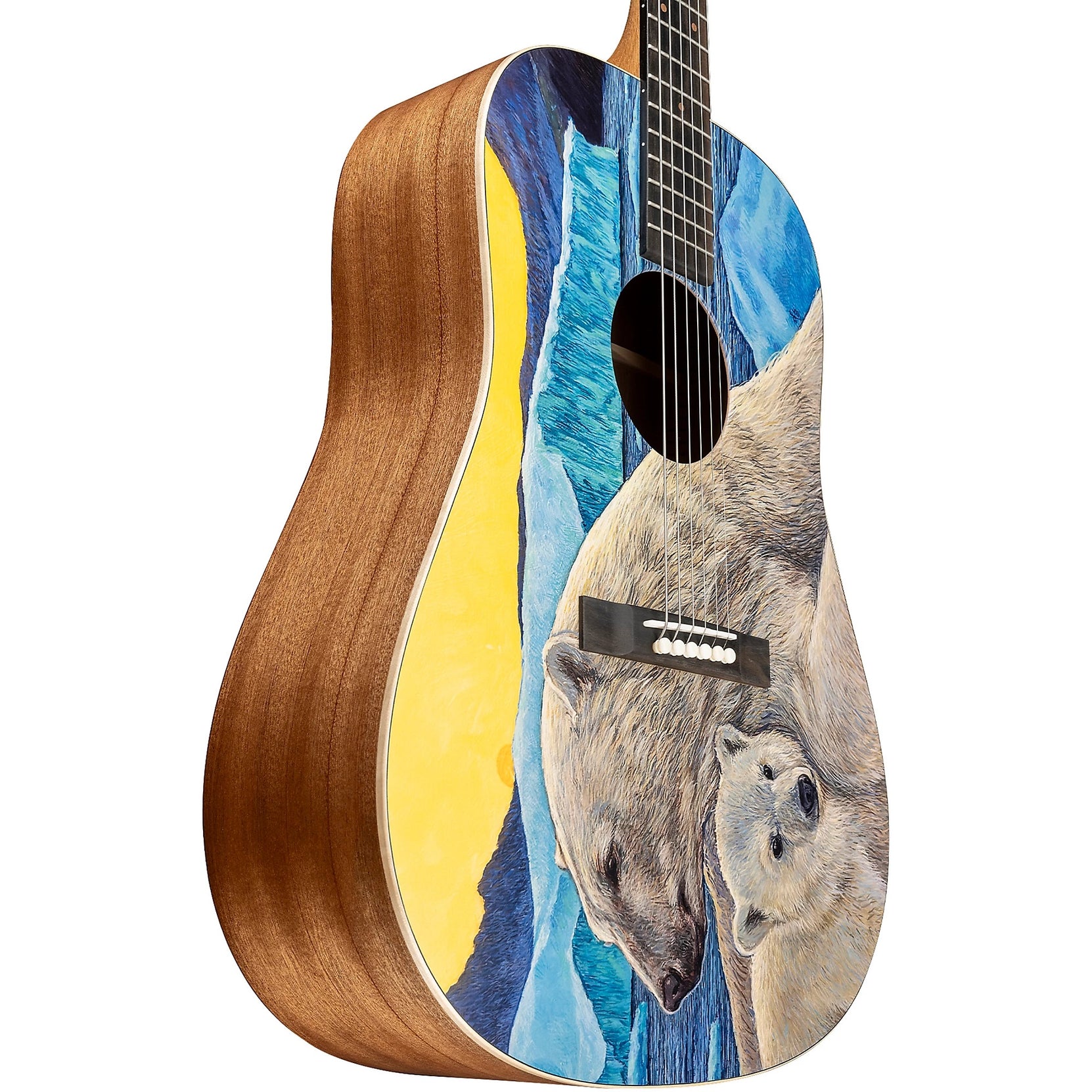 Đàn Guitar Acoustic Martin D Biosphere III Custom & Special Editions - Polar Bear-Mai Nguyên Music