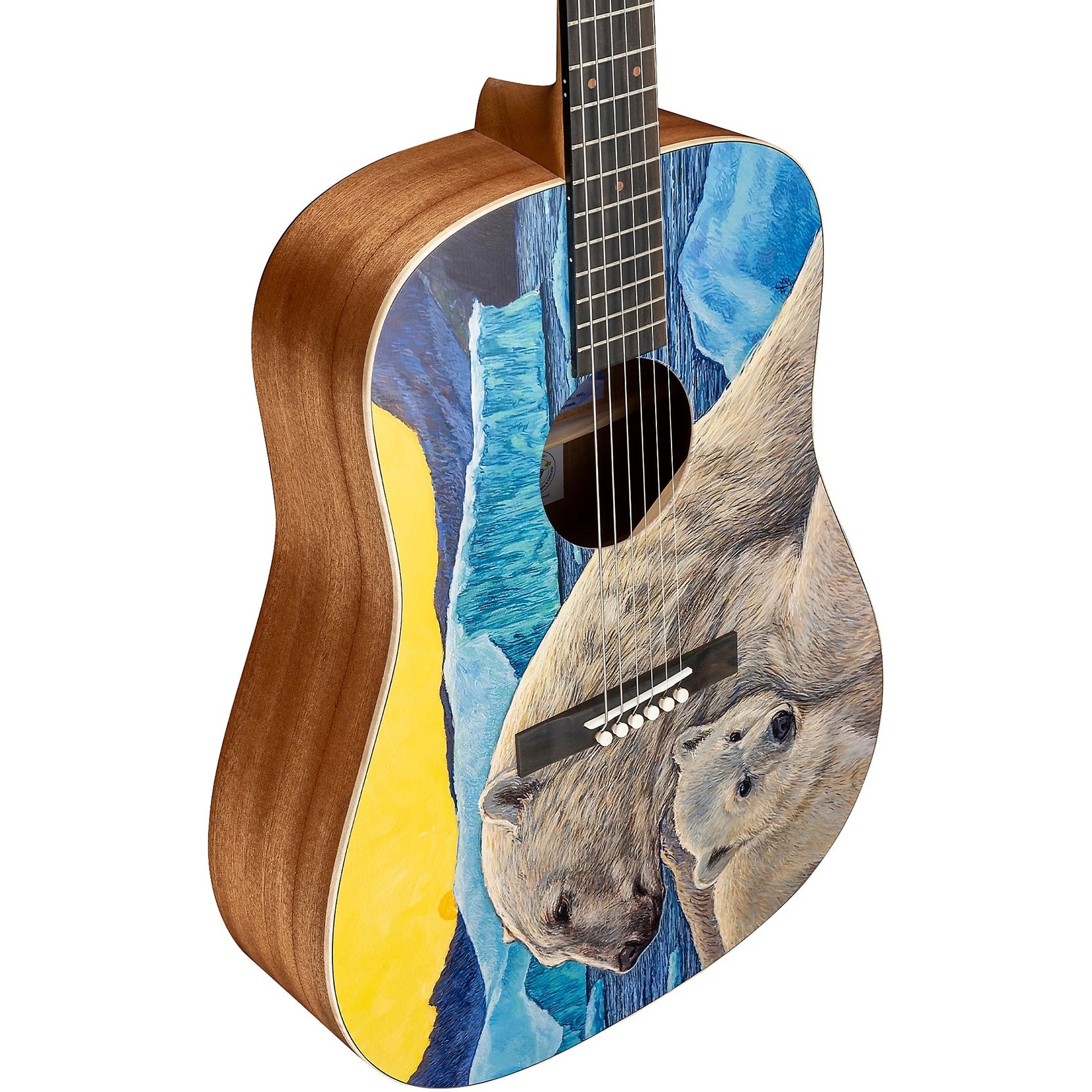 Đàn Guitar Acoustic Martin D Biosphere III Custom & Special Editions - Polar Bear-Mai Nguyên Music