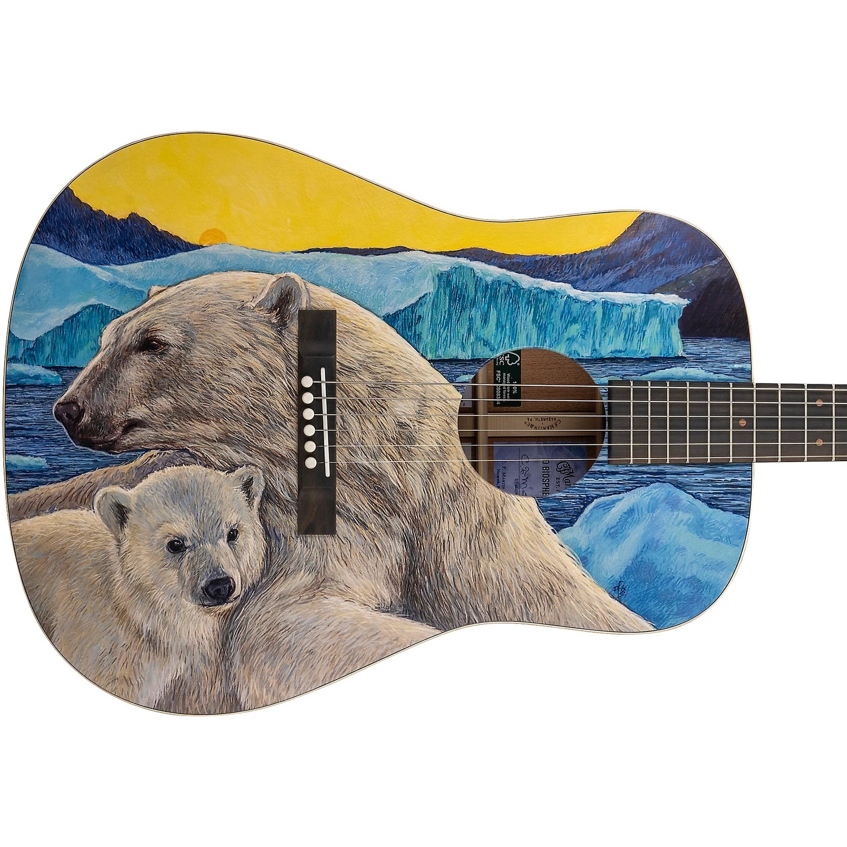 Đàn Guitar Acoustic Martin D Biosphere III Custom & Special Editions - Polar Bear-Mai Nguyên Music