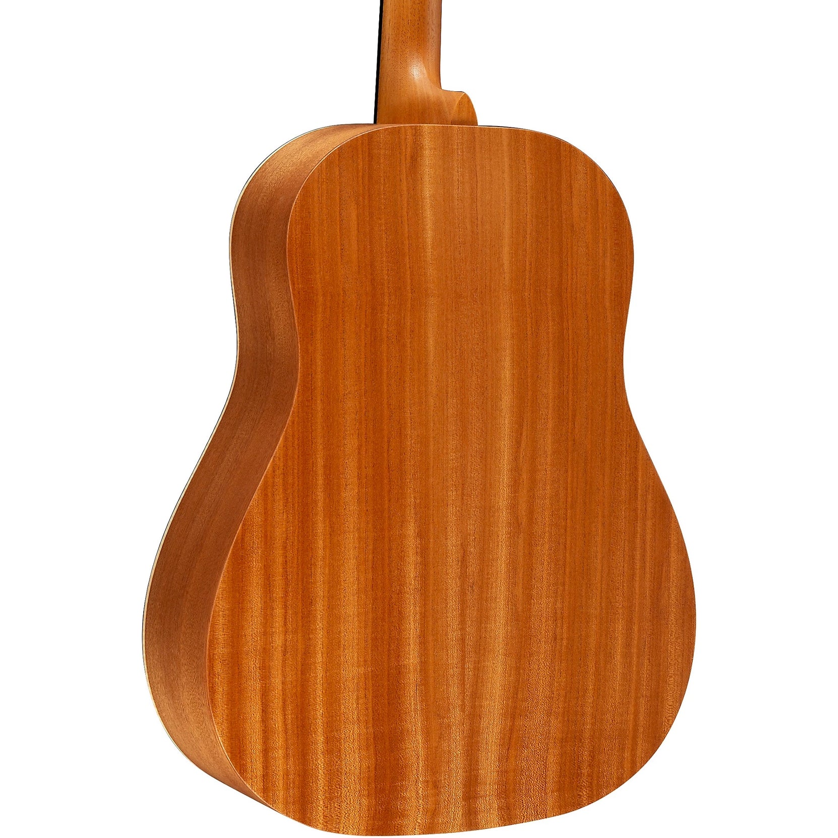 Đàn Guitar Acoustic Martin DSS Biosphere II Custom & Special Editions - Whale-Mai Nguyên Music