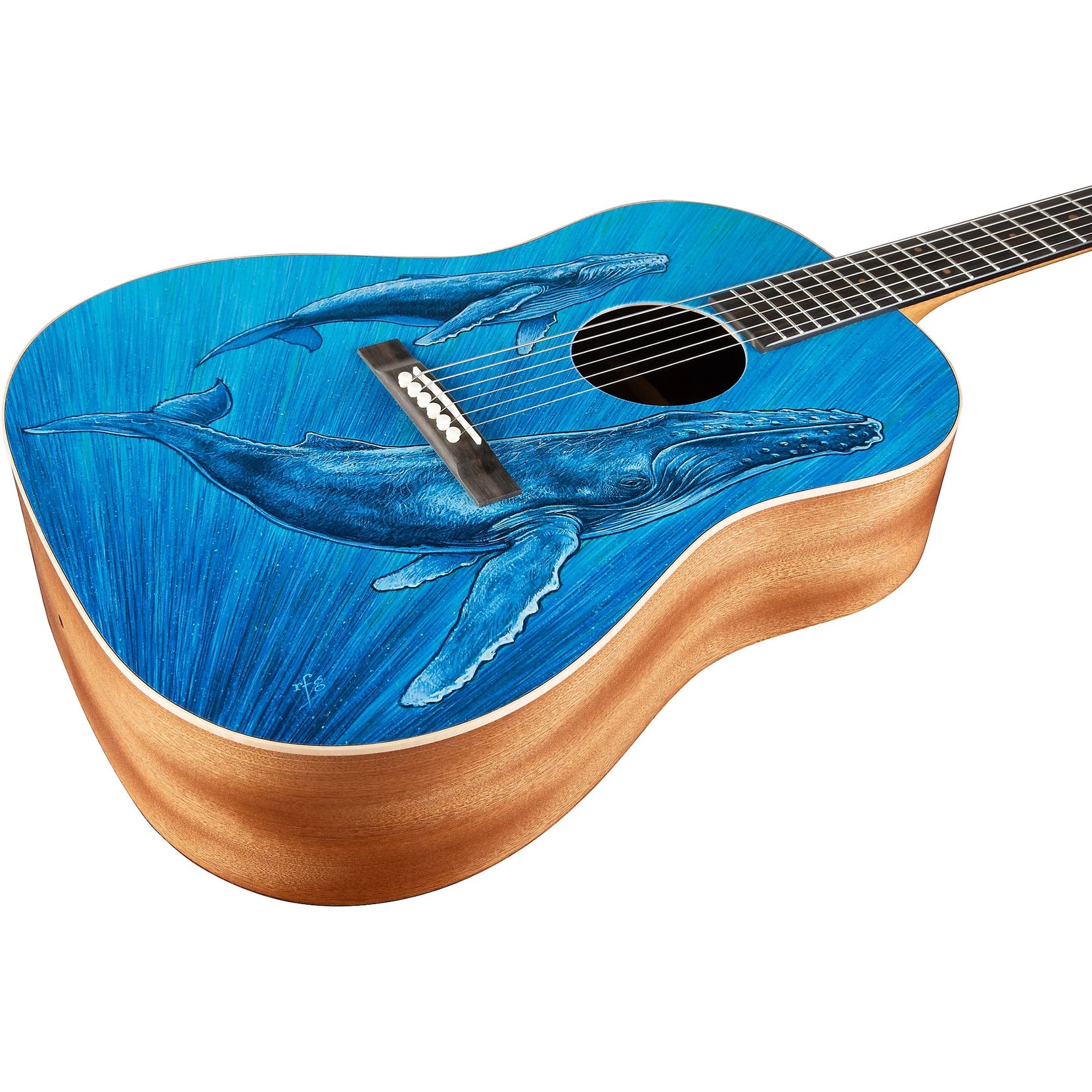 Đàn Guitar Acoustic Martin DSS Biosphere II Custom & Special Editions - Whale-Mai Nguyên Music