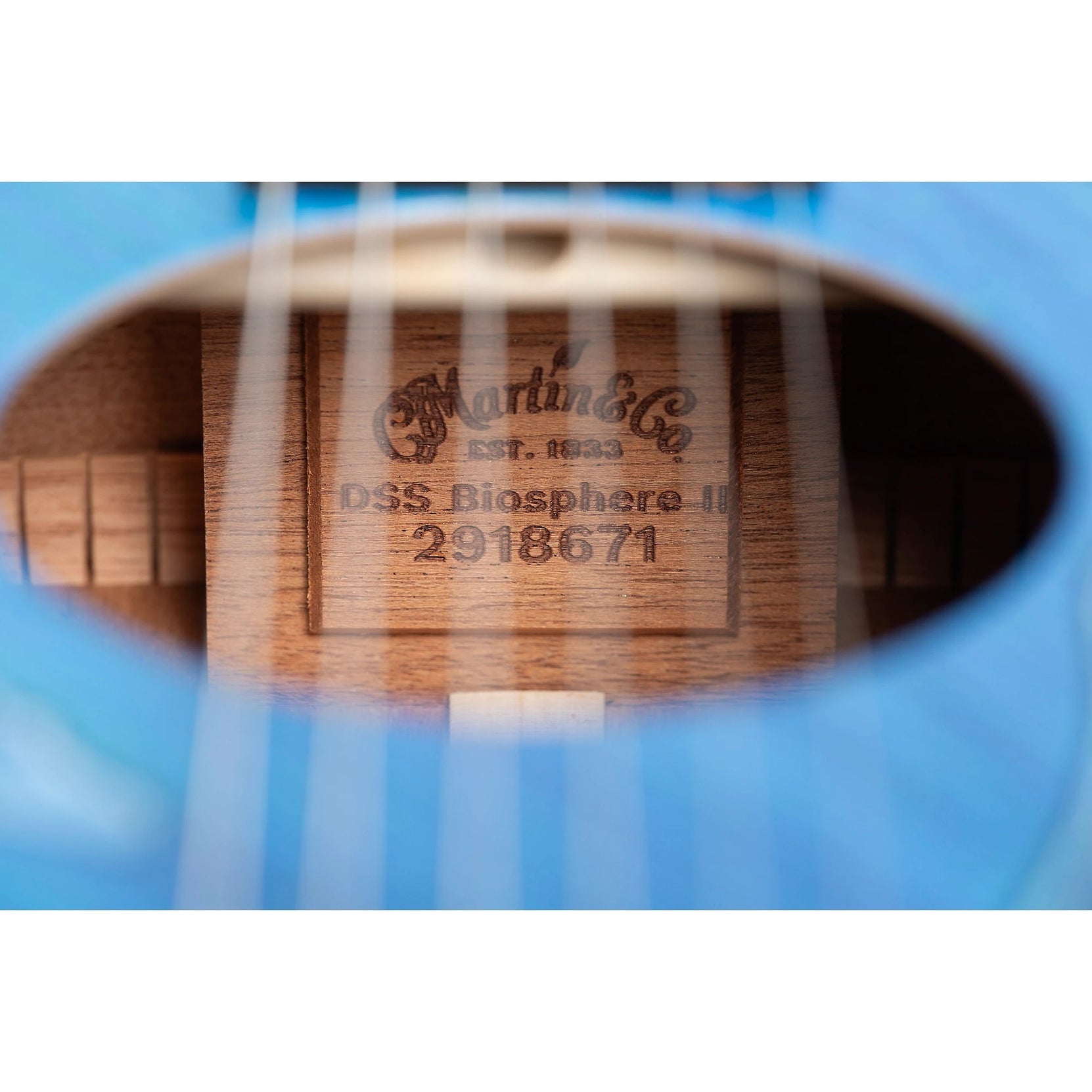 Đàn Guitar Acoustic Martin DSS Biosphere II Custom & Special Editions - Whale-Mai Nguyên Music