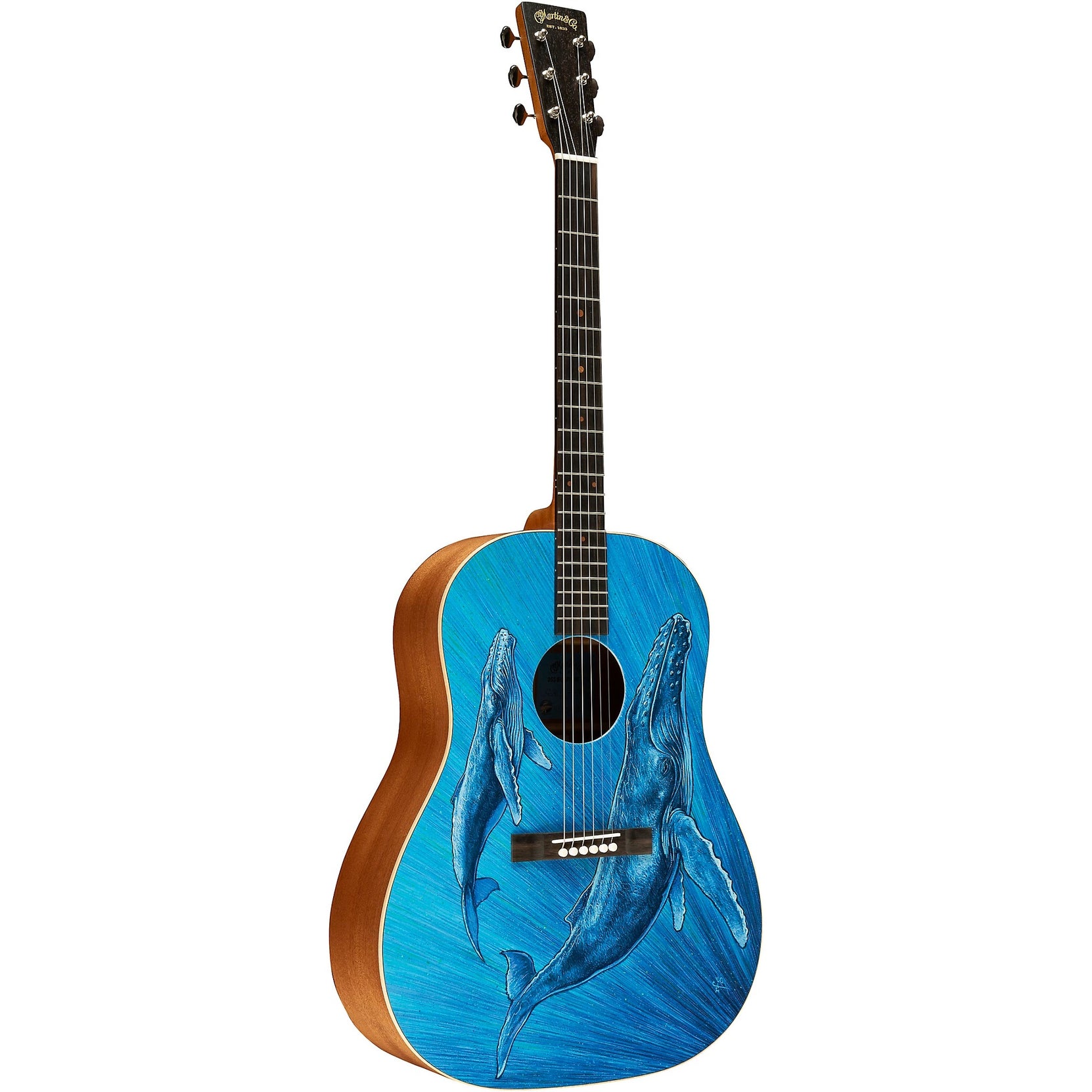Đàn Guitar Acoustic Martin DSS Biosphere II Custom & Special Editions - Whale-Mai Nguyên Music