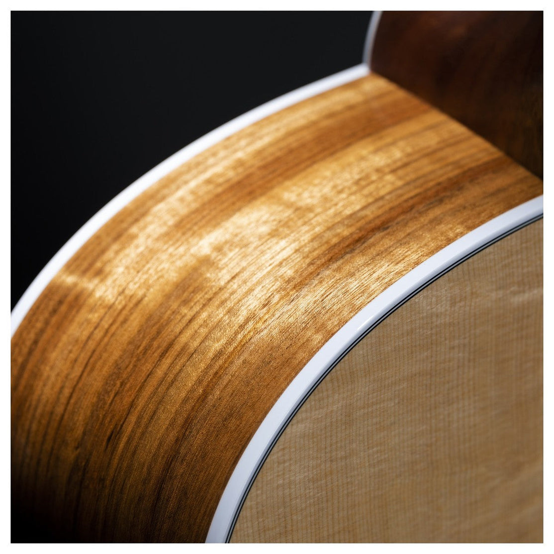 Đàn Guitar Acoustic Martin GPC-13E Mutenye Road Series w/Soft Case-Mai Nguyên Music