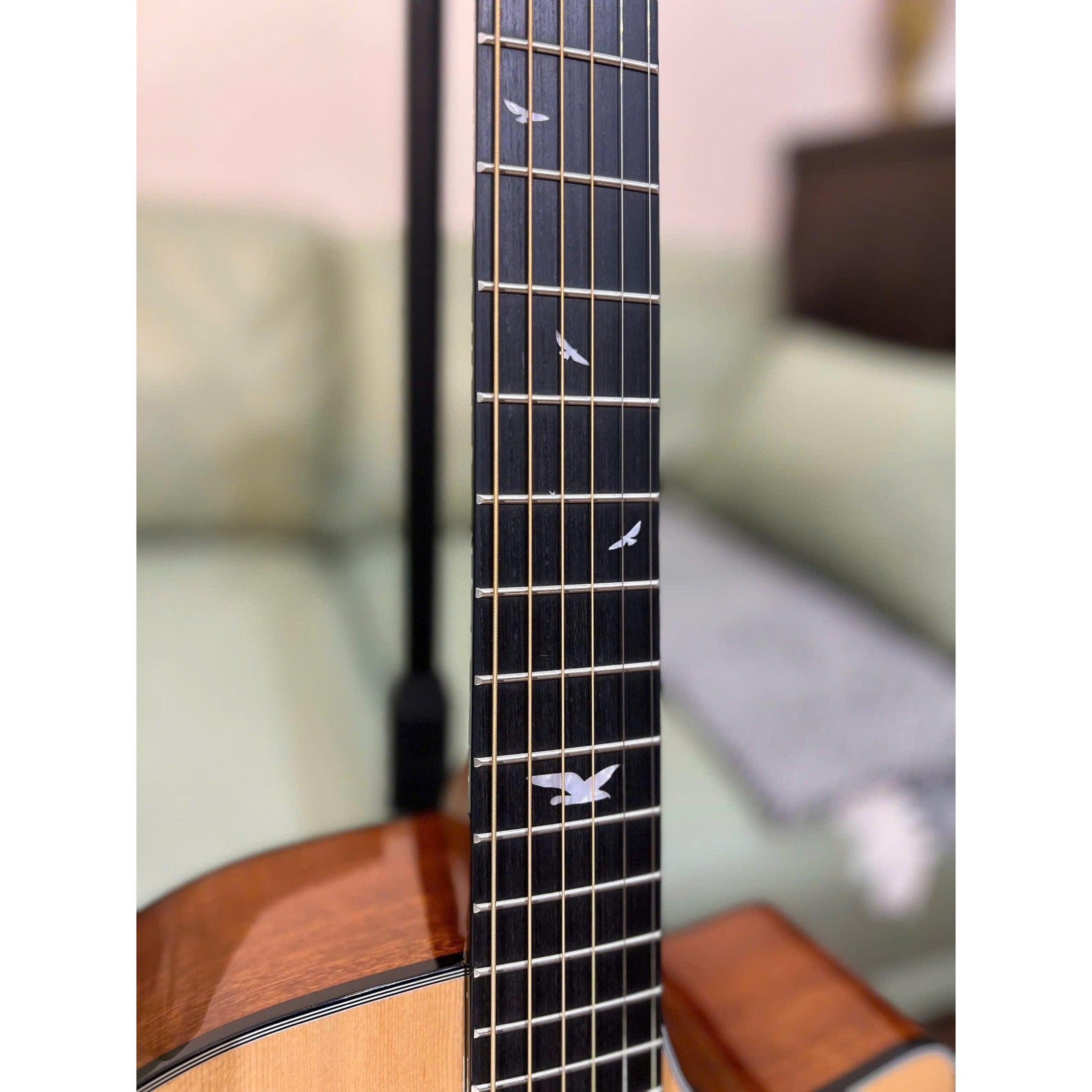 Đàn Guitar Acoustic Murcia AS-10CE-Mai Nguyên Music