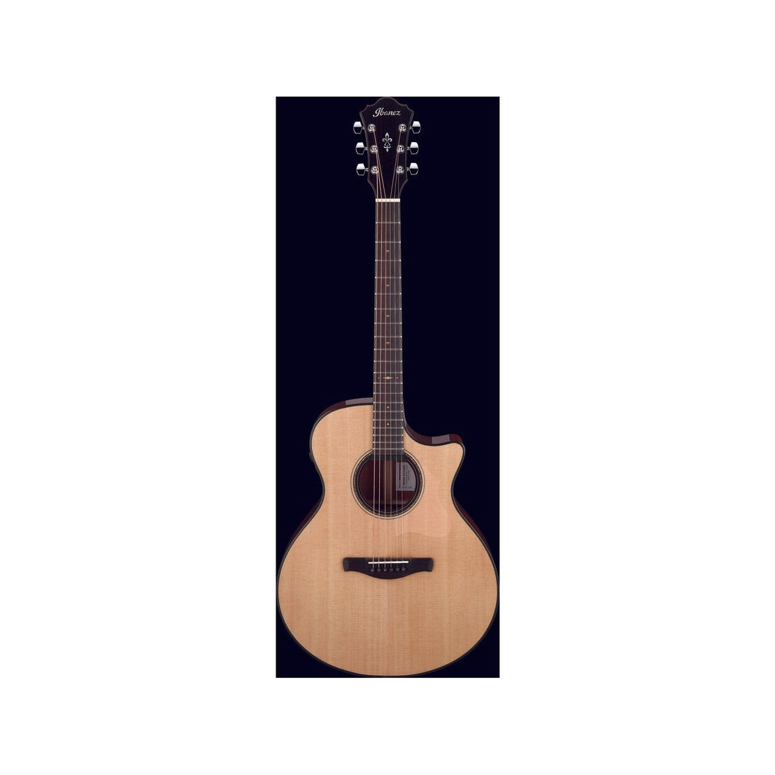 Đàn Guitar Acoustic Platinum Collection Ibanez AE410-Mai Nguyên Music