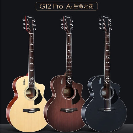 Đàn Guitar Acoustic Rosen G12 Pro (Tặng Kèm Phụ Kiện)-Mai Nguyên Music