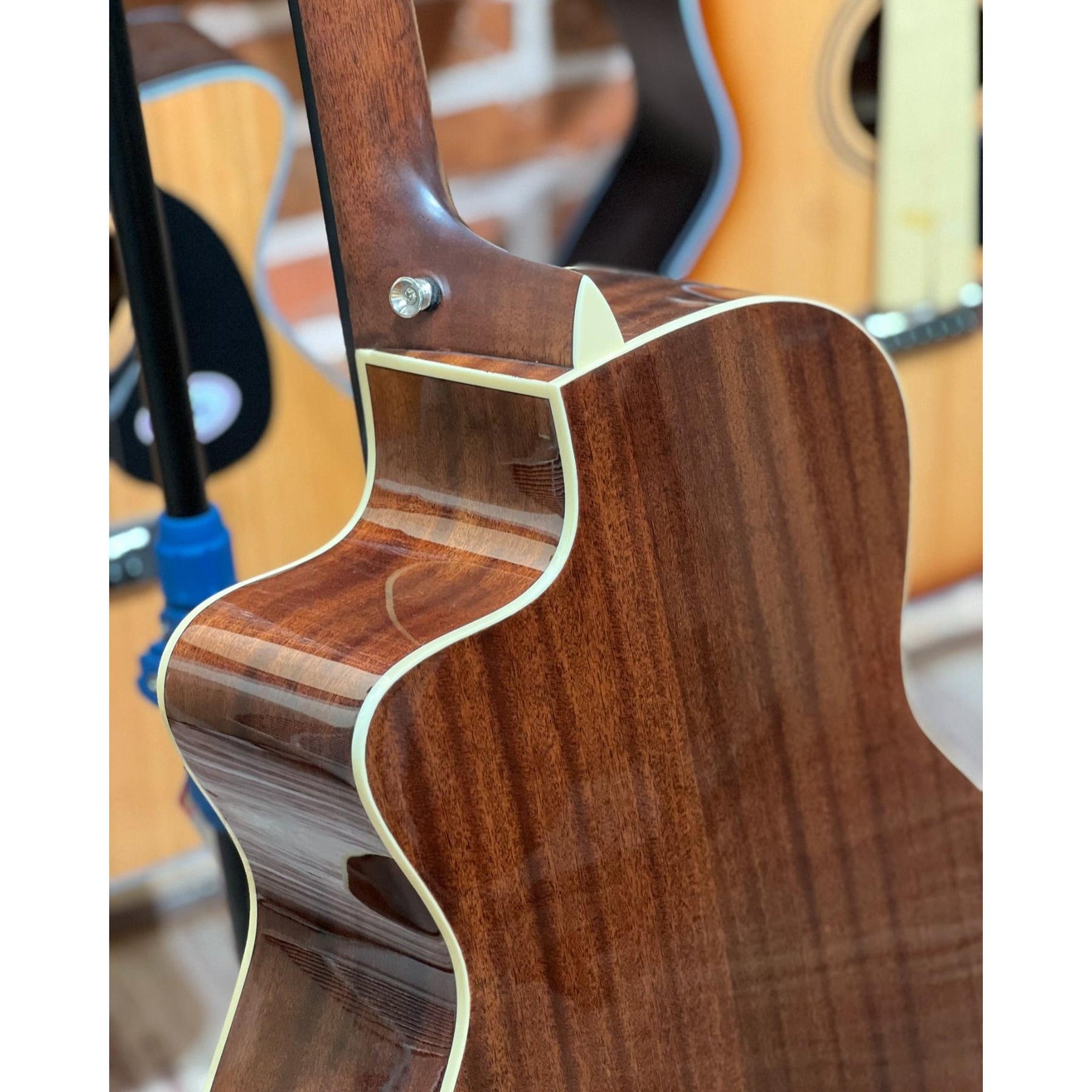Đàn Guitar Acoustic Saga SF700GC Pro-Mai Nguyên Music