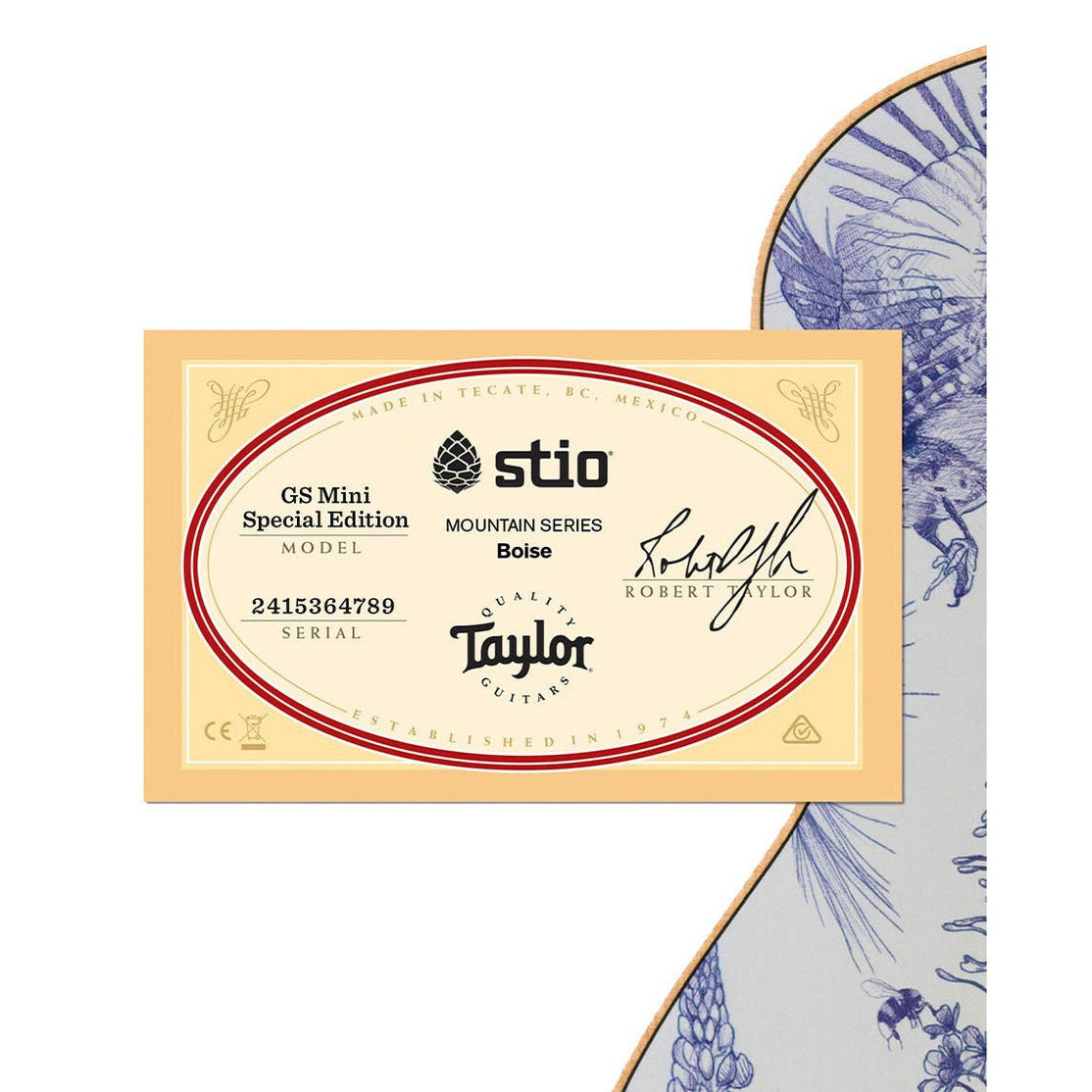 Đàn Guitar Acoustic Stio x Taylor Mtn Series-Mai Nguyên Music