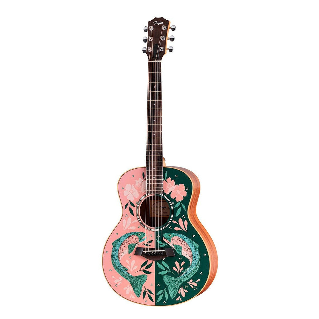 Đàn Guitar Acoustic Stio x Taylor Mtn Series-Mai Nguyên Music