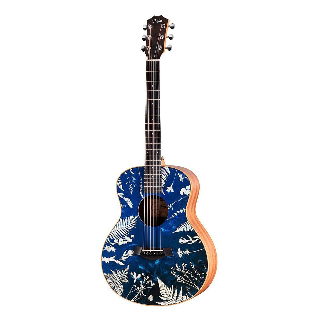 Đàn Guitar Acoustic Stio x Taylor Mtn Series-Mai Nguyên Music