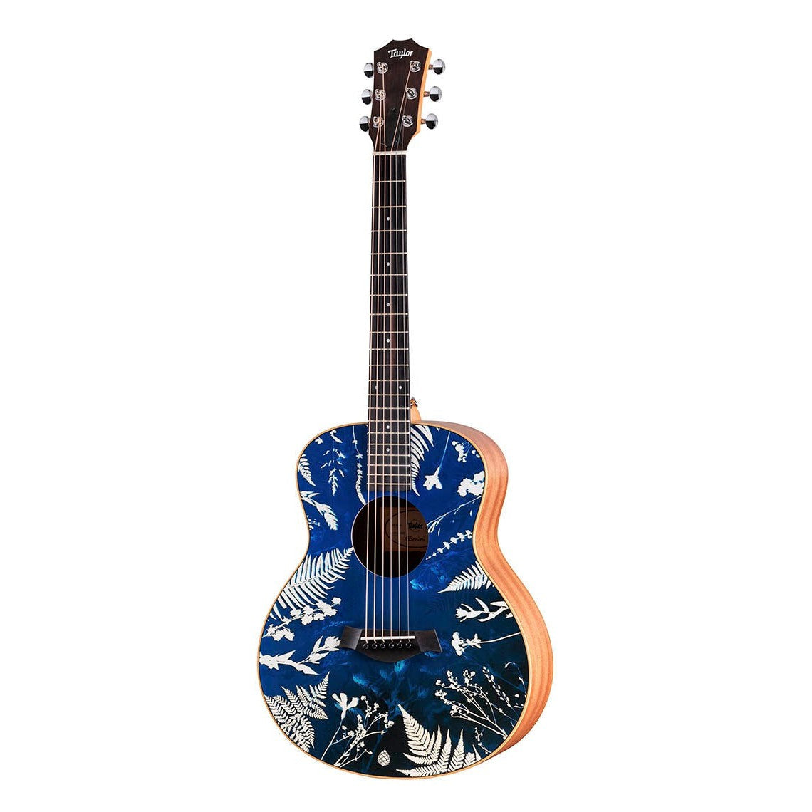 Đàn Guitar Acoustic Stio x Taylor Mtn Series-Mai Nguyên Music