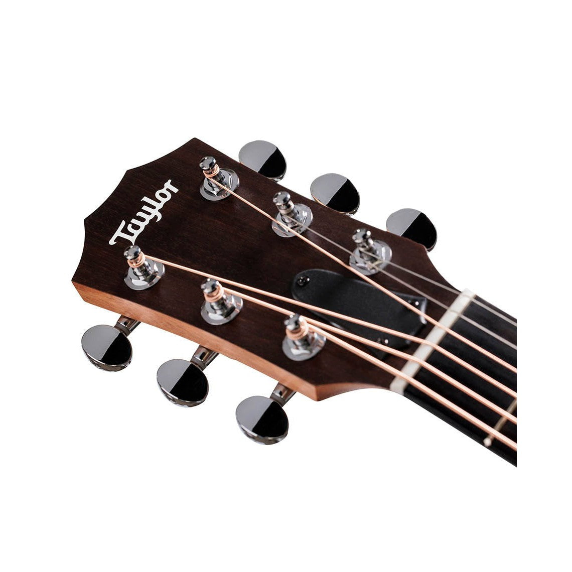 Đàn Guitar Acoustic Stio x Taylor Mtn Series-Mai Nguyên Music