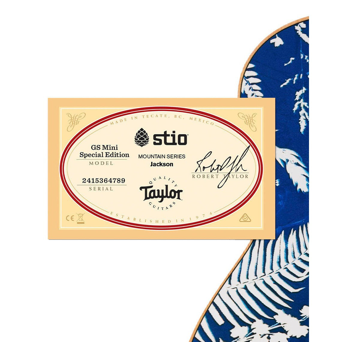 Đàn Guitar Acoustic Stio x Taylor Mtn Series-Mai Nguyên Music