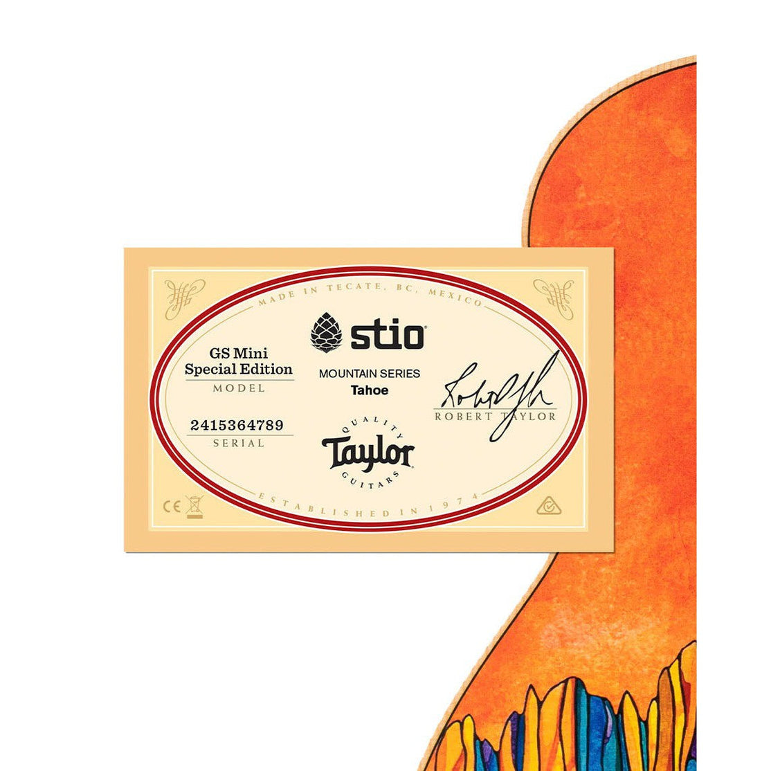 Đàn Guitar Acoustic Stio x Taylor Mtn Series-Mai Nguyên Music