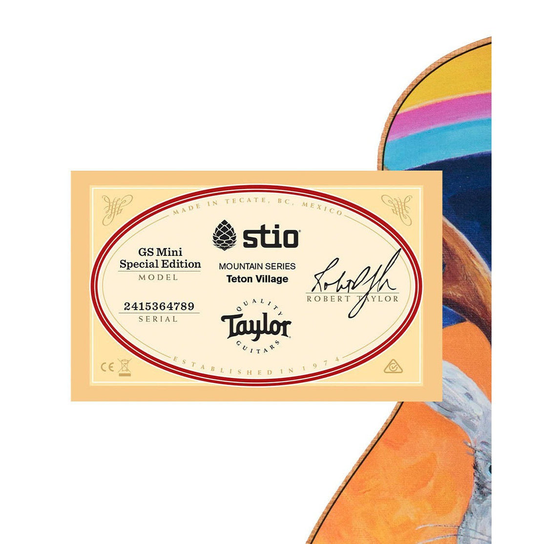 Đàn Guitar Acoustic Stio x Taylor Mtn Series-Mai Nguyên Music