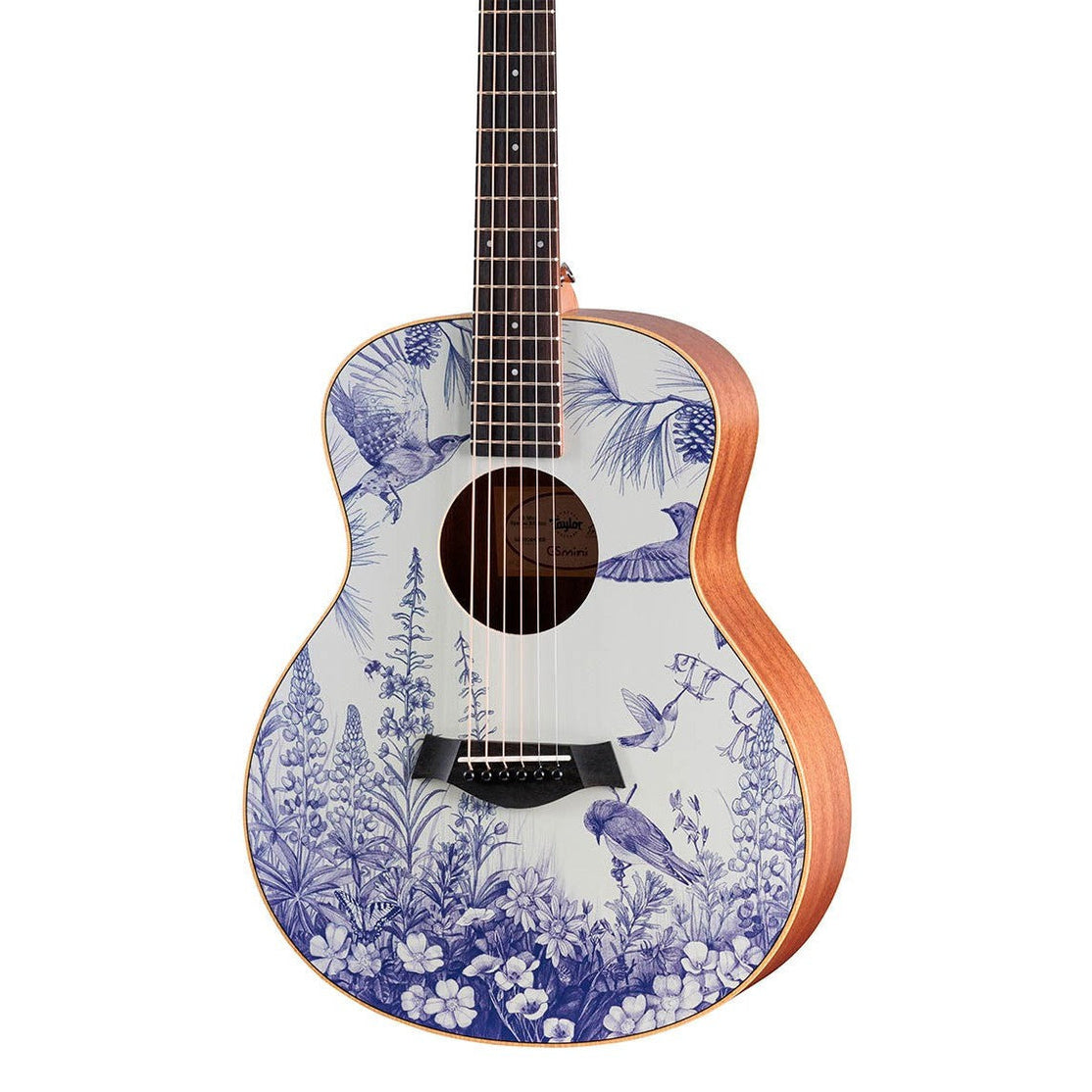 Đàn Guitar Acoustic Stio x Taylor Mtn Series-Mai Nguyên Music